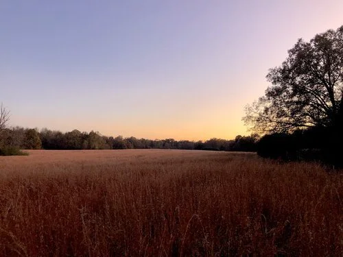 Sage Hills at Piperton