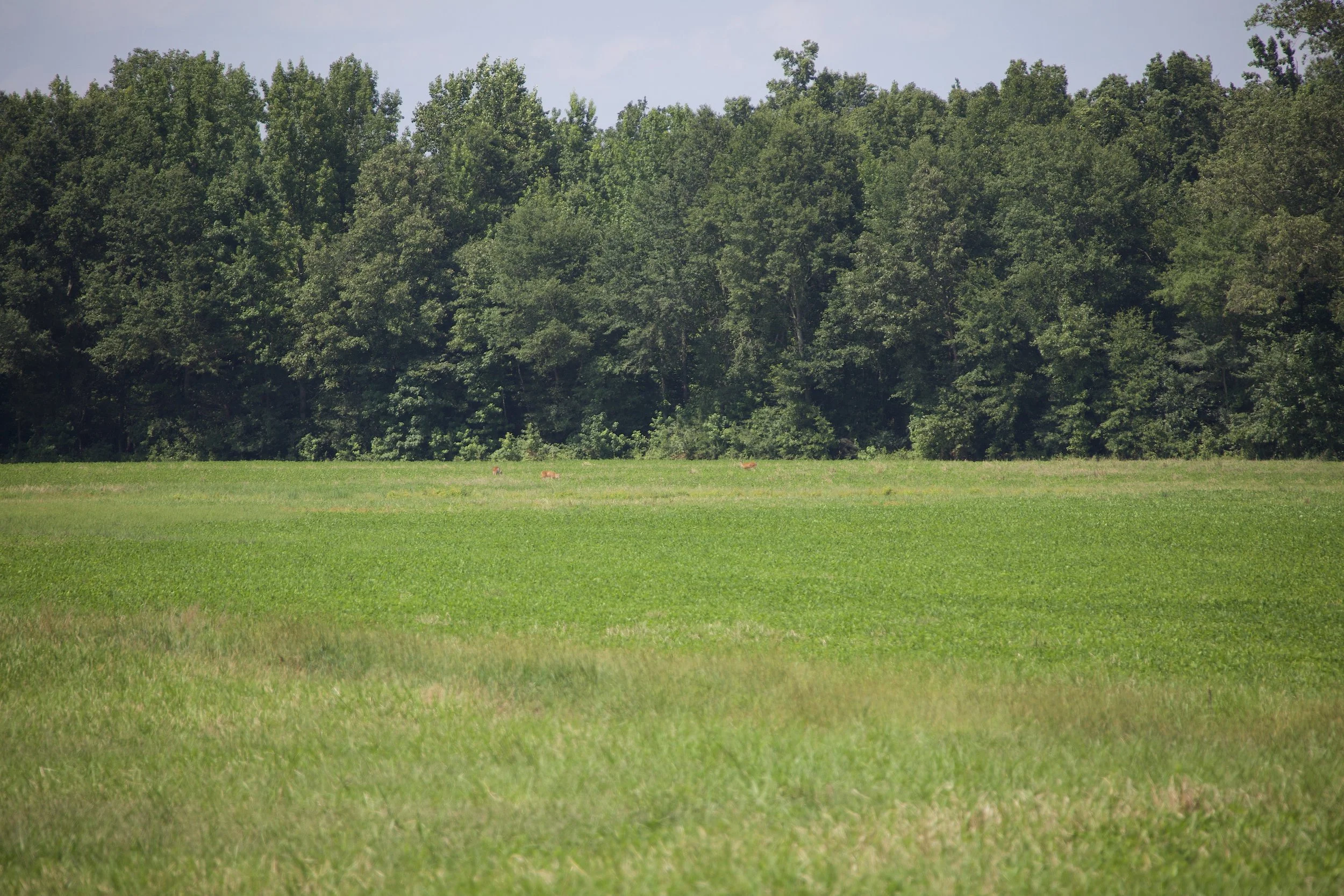 Stanton Grain &amp; Rec. Farm