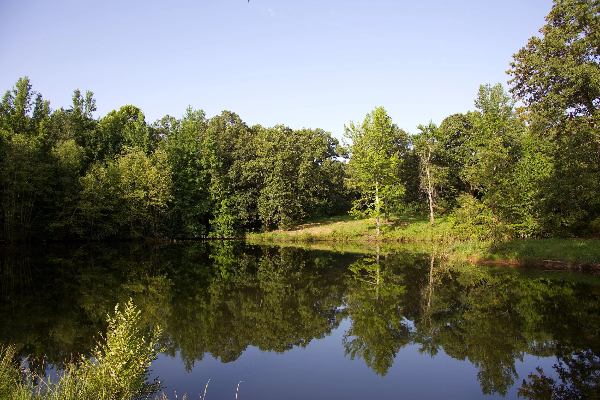 Twin Lakes at Loose Horse Farms 