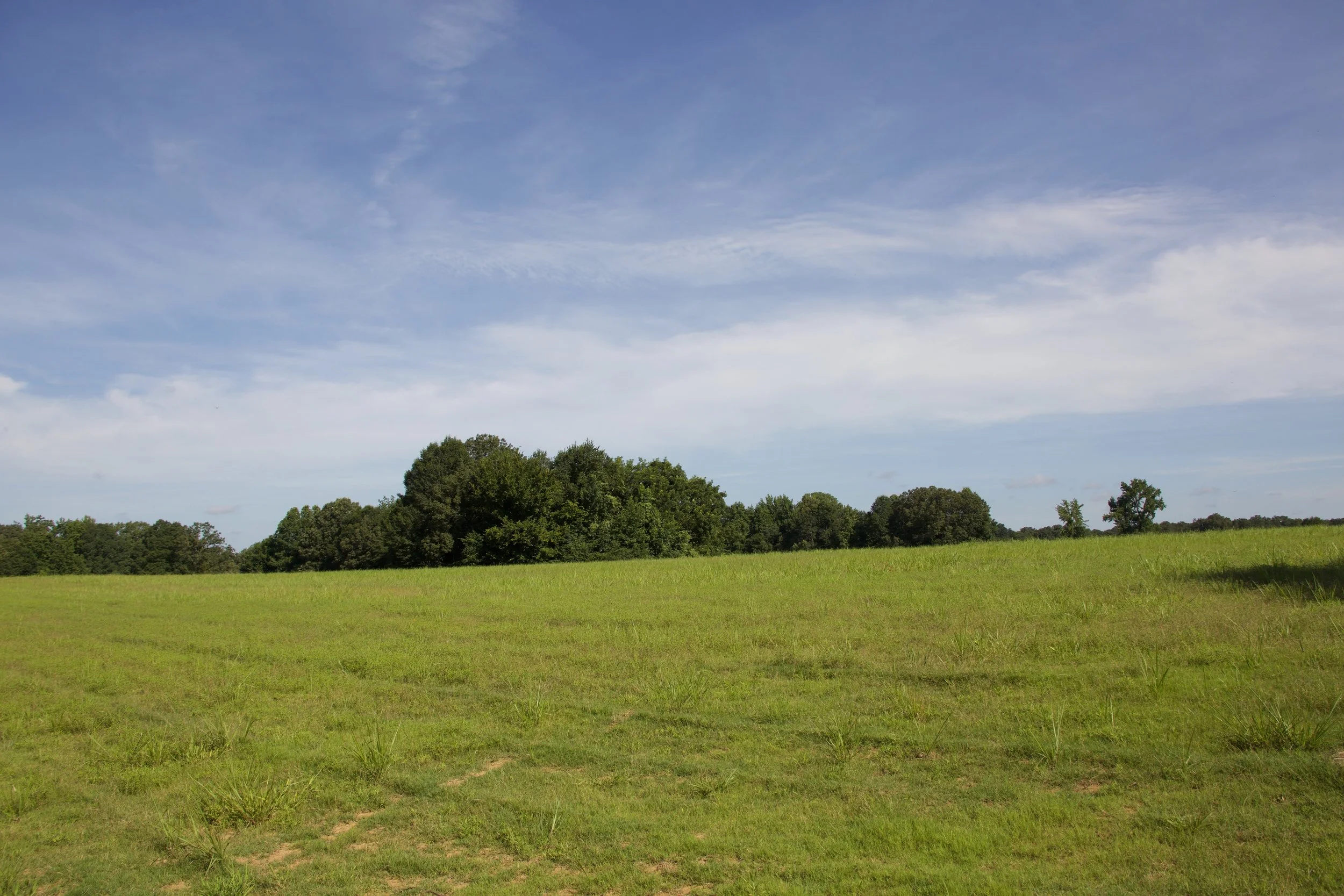 High Point at Loose Horse Farms