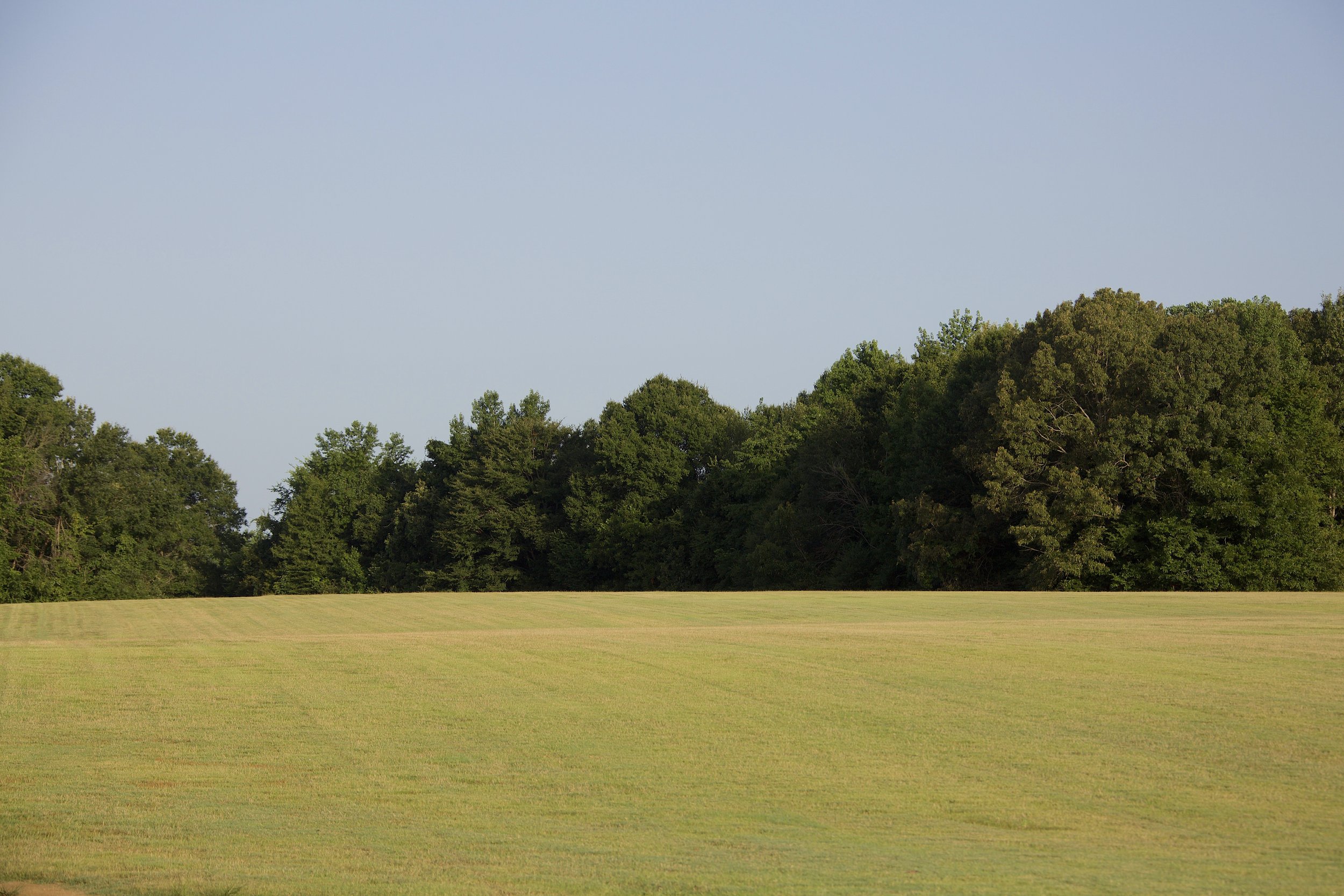 Meadowlands at Loose Horse Farm