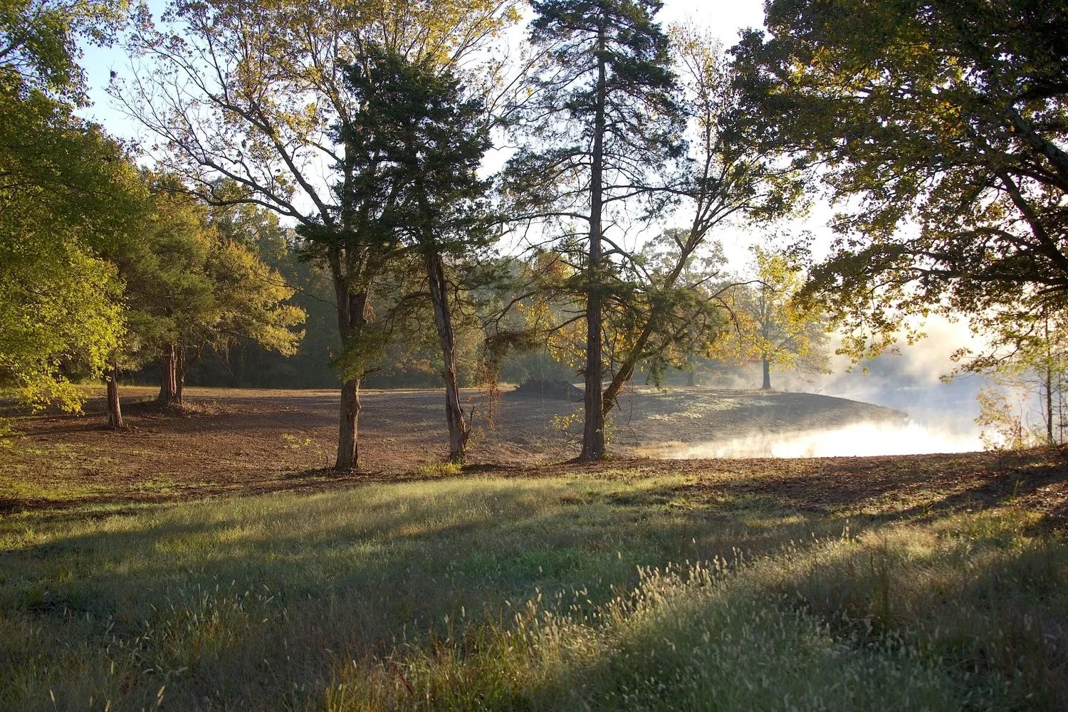Peninsula at Loose Horse Farm