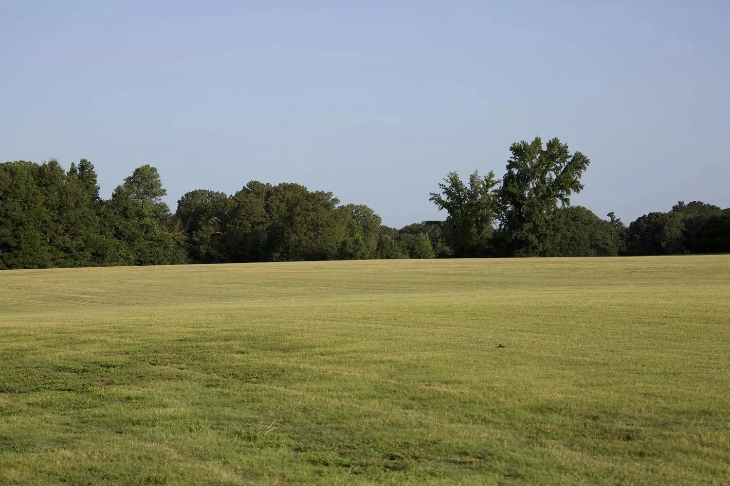 Meadowlands at Loose Horse Farm