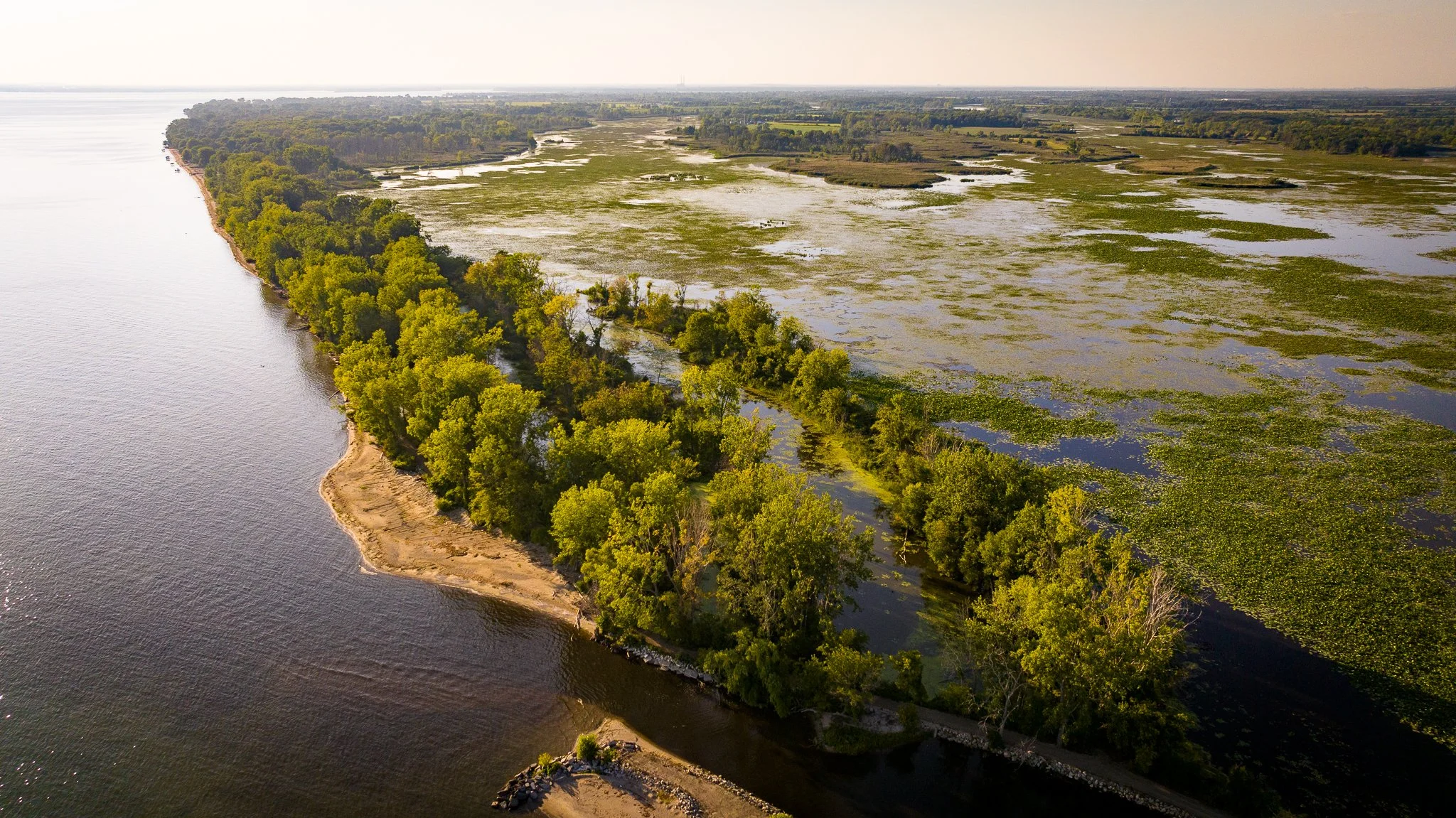 8_Aerials (16 of 34).jpg