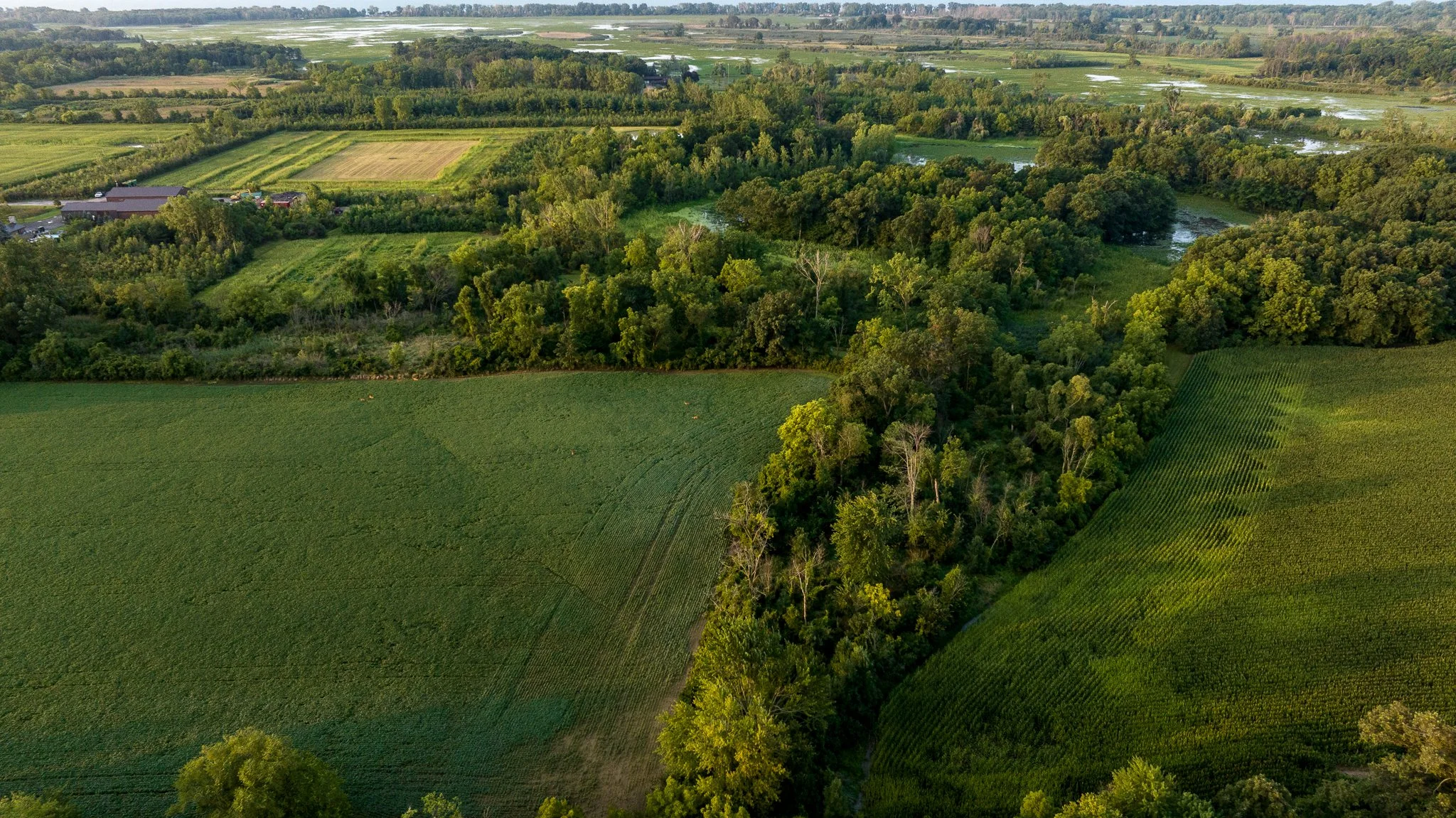 Aerials (13 of 24).jpg