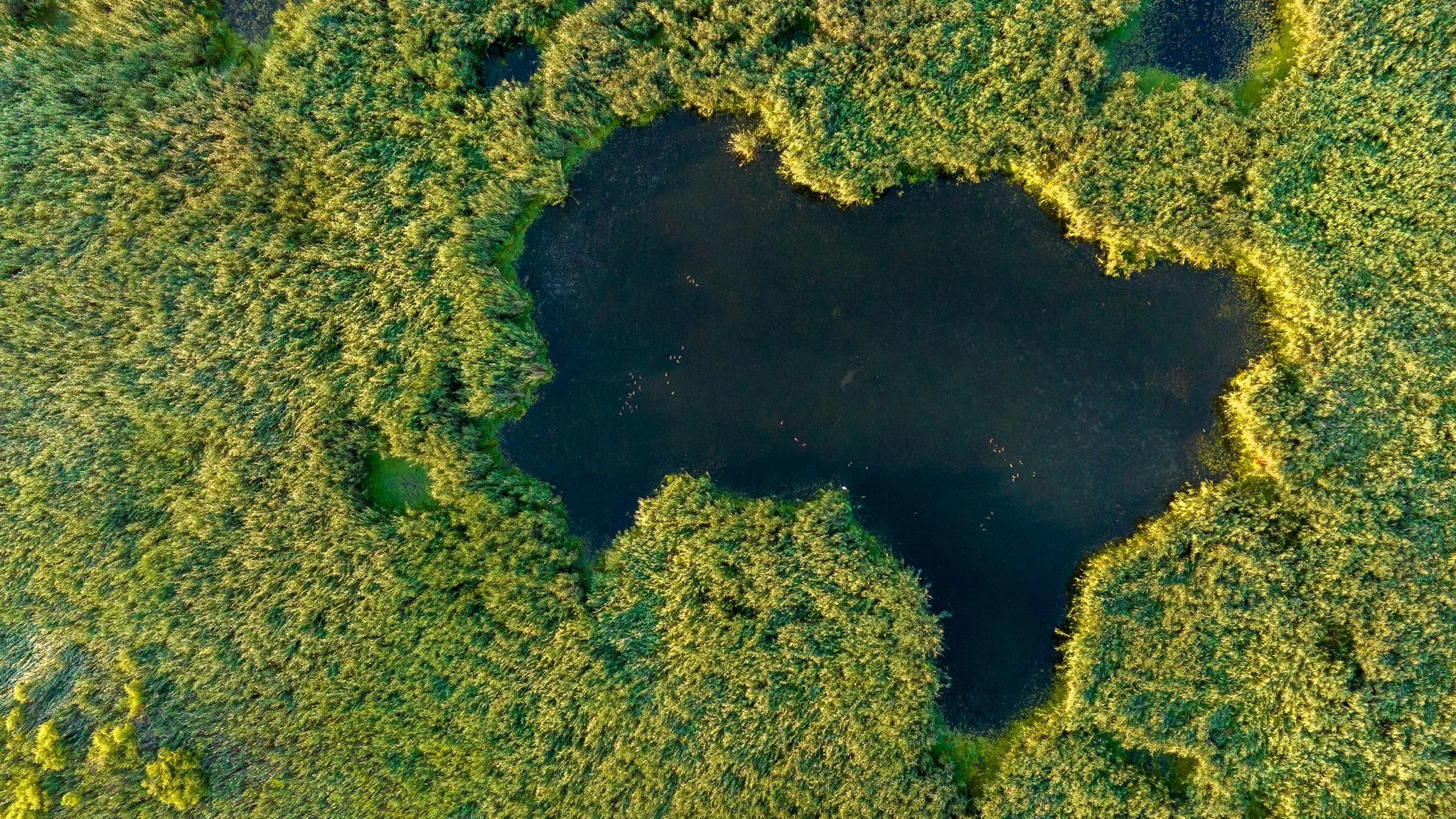 Aerials (20 of 24).jpg