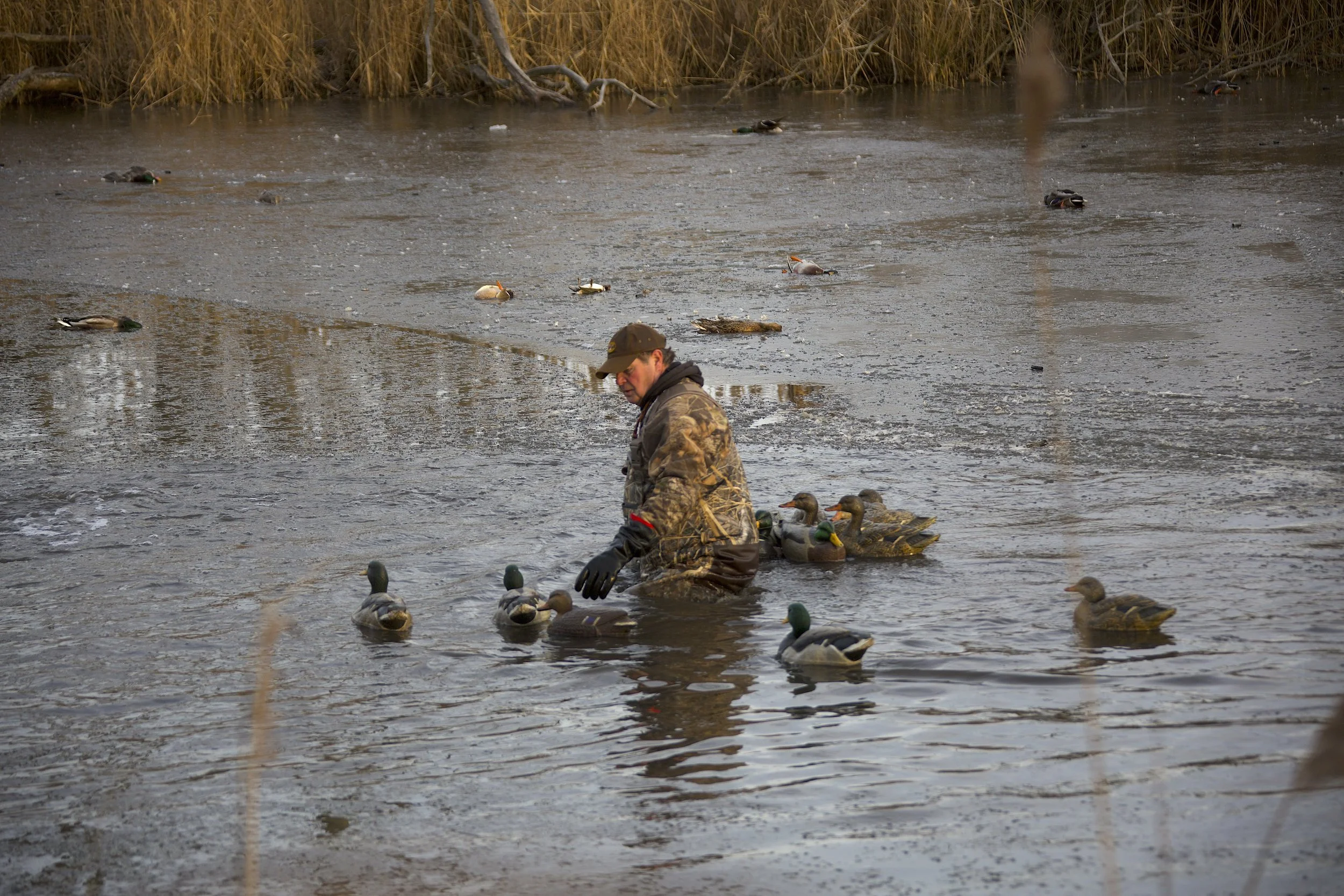 Pickin Up Eddie Ducks.jpg