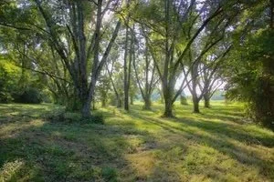 Pecan Valley