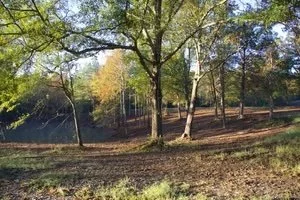 Peninsula at Loose Horse Farm