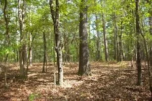 Town Hill