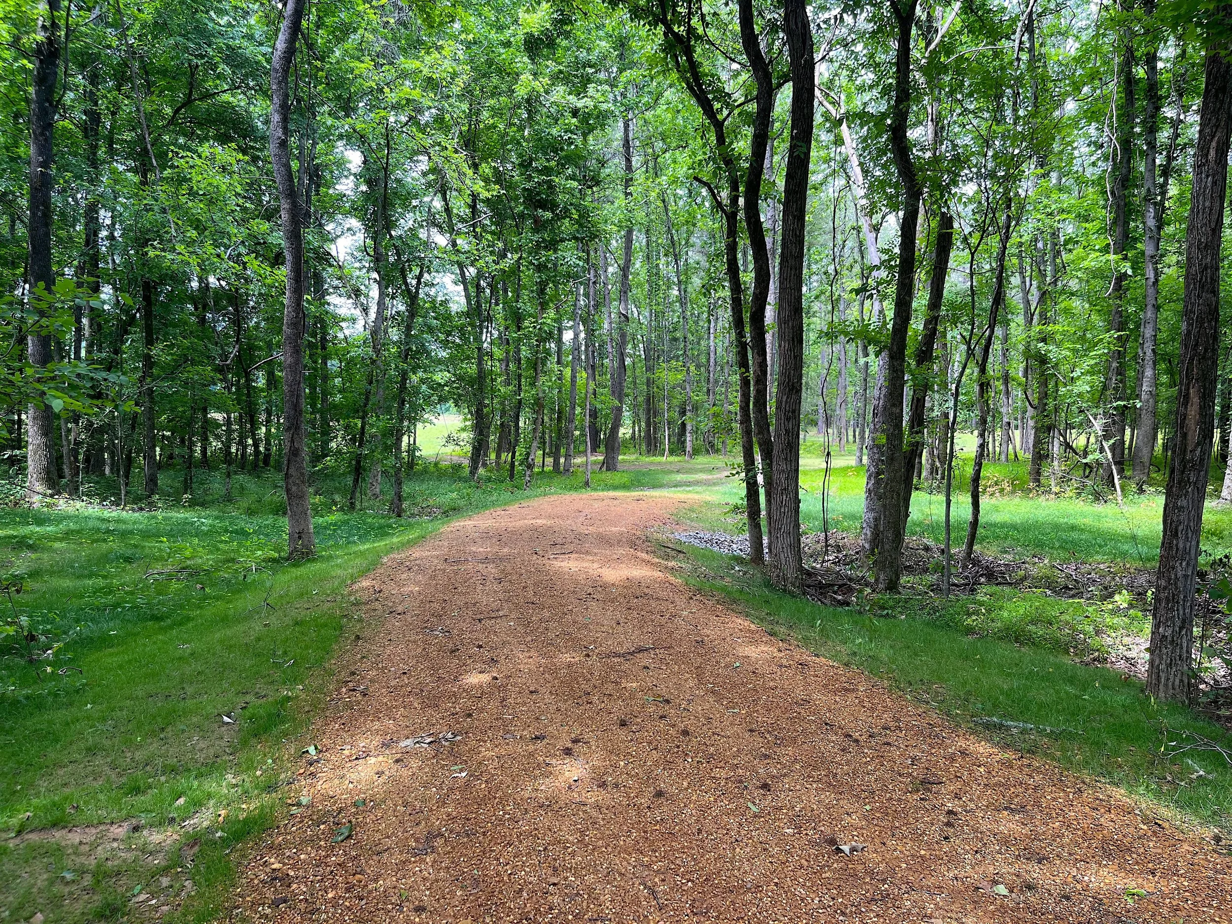 Shelby County 4 acres