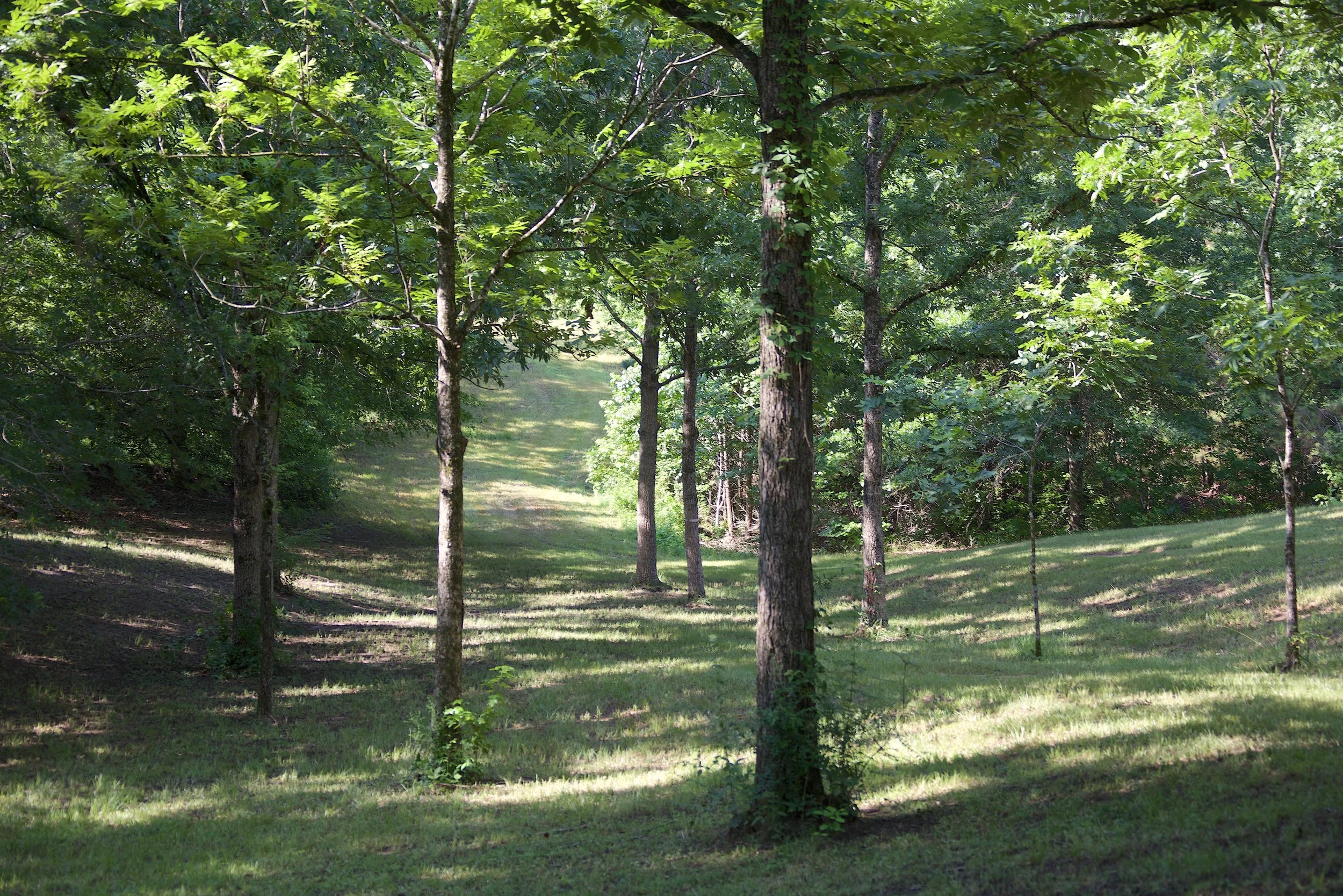 Sardis Heights