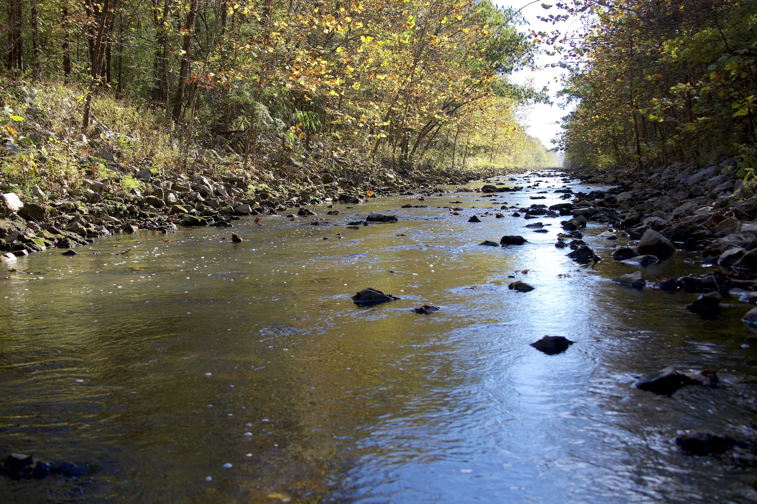 Rocky Creek Farm