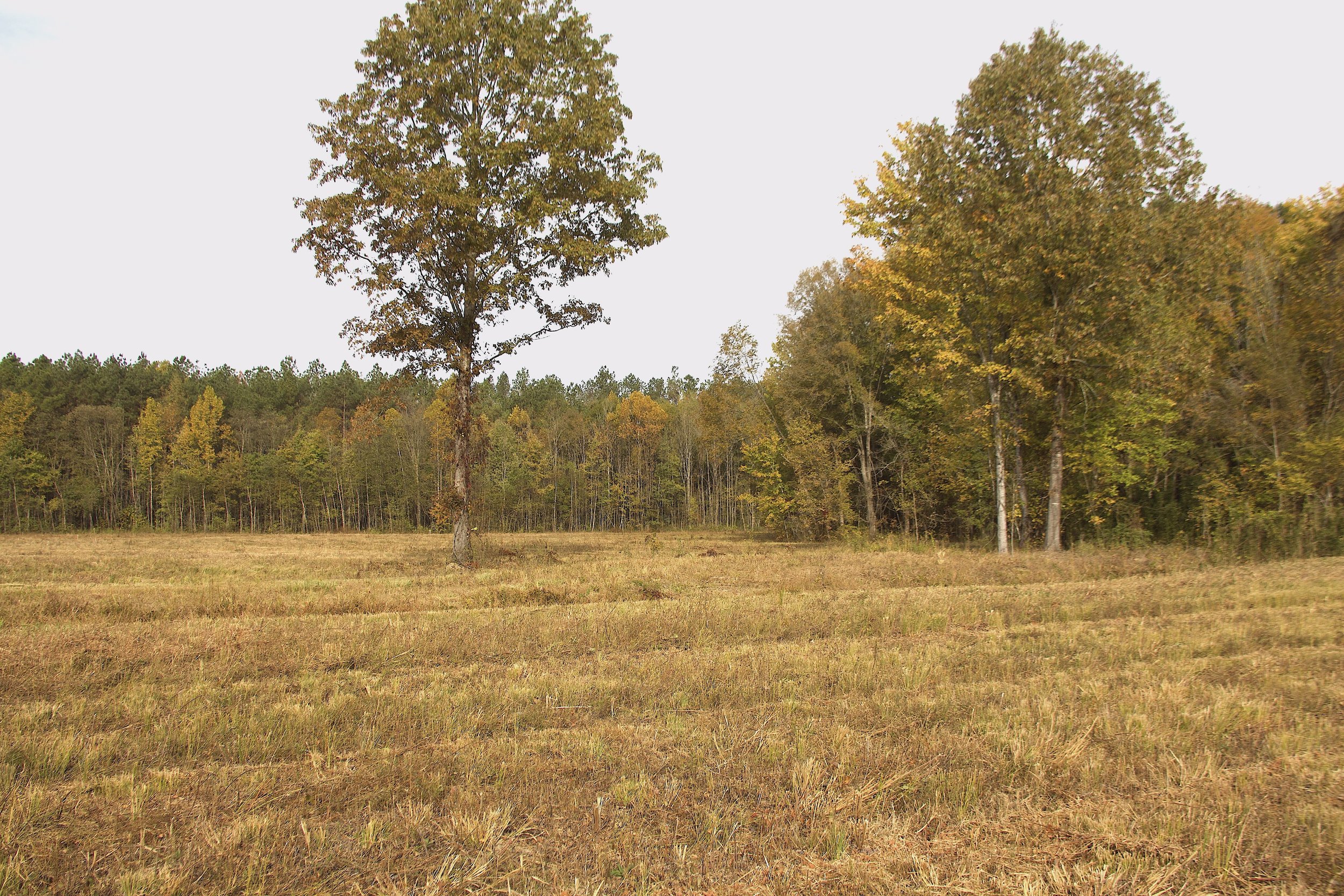 Rocky Creek Farm