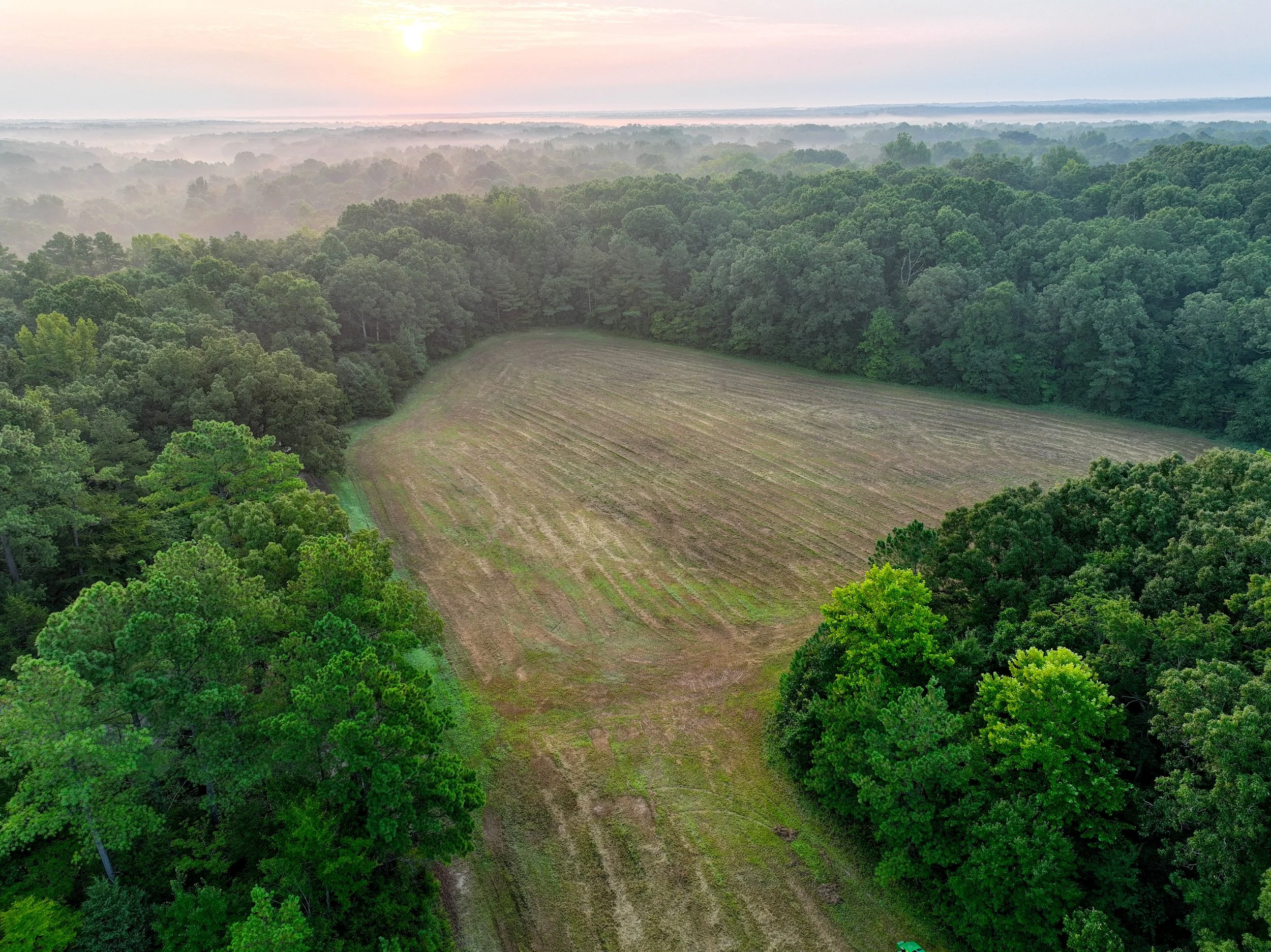 Clark Farms