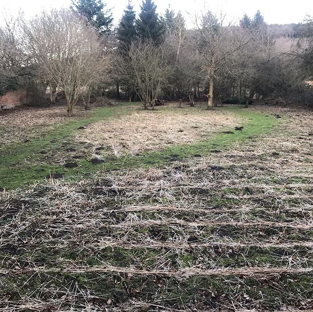 The chainsaw has been busy after the storms clearing deadwood to make way for new growth. Opening up the old wall garden to a wild meadow and small woodland. All of this is part of the lovely old Yorkshire Cottage. #yorkshirecottage #remotecottage #w