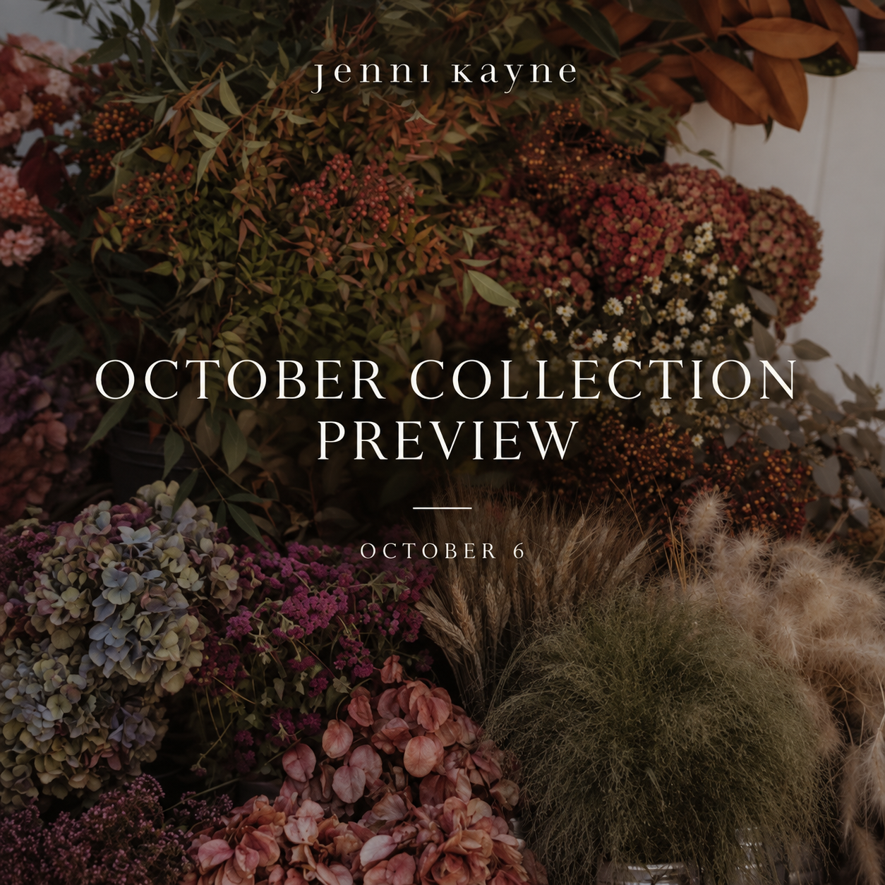 Jenni Kayne October Collection Preview
