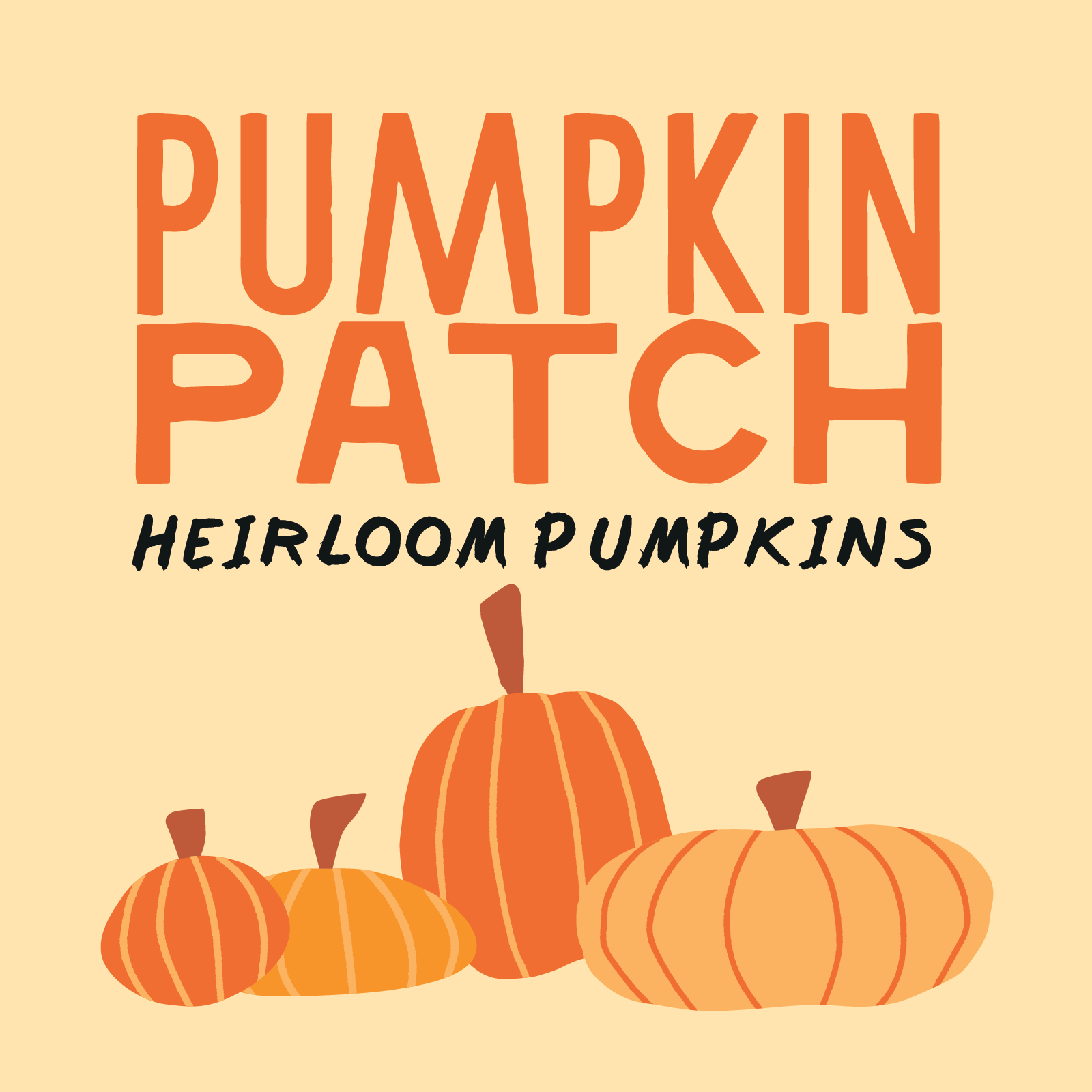 Brentwood Country Mart Pumpkin Patch