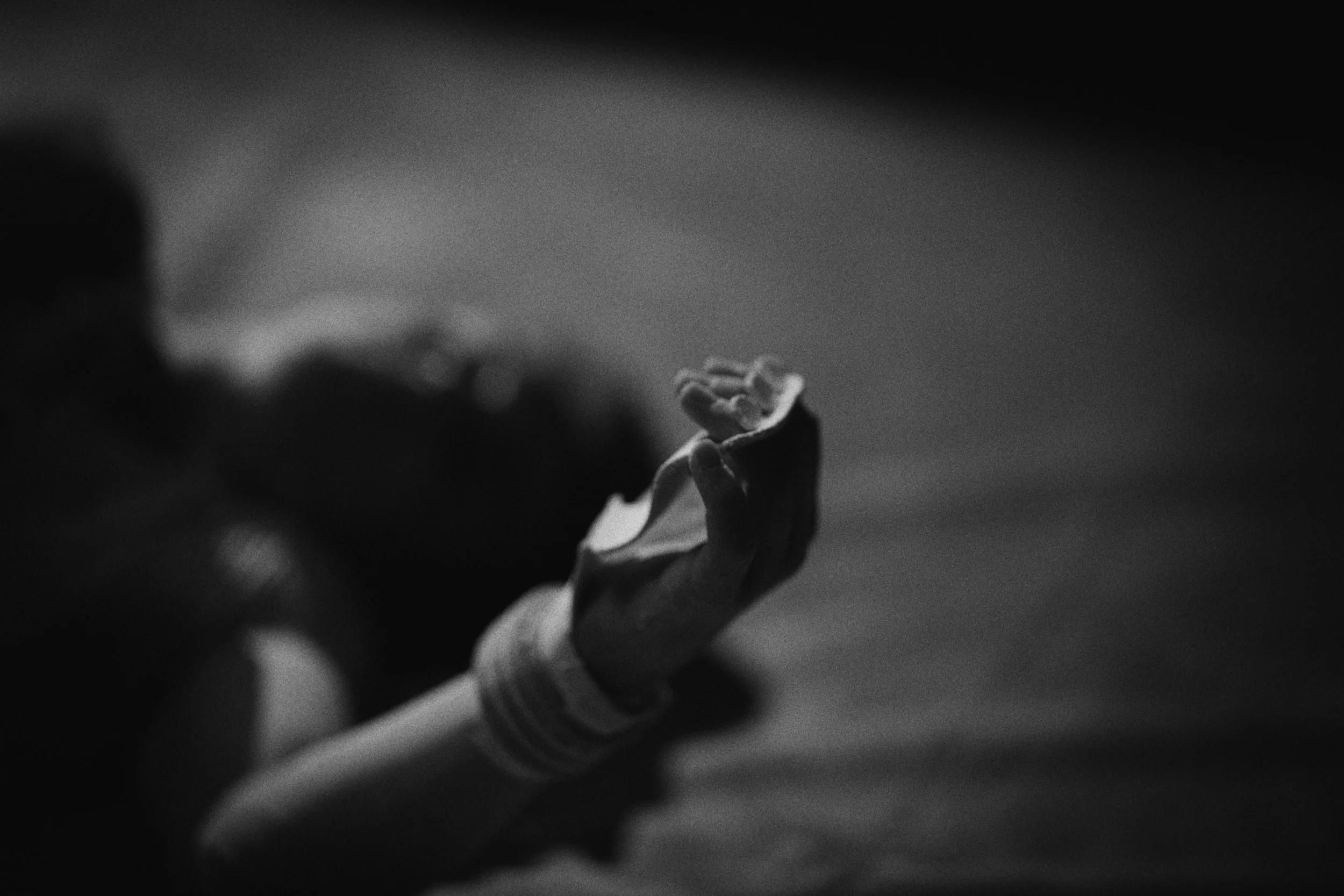 Still 2025-10-29 175613_1.71.2.jpg