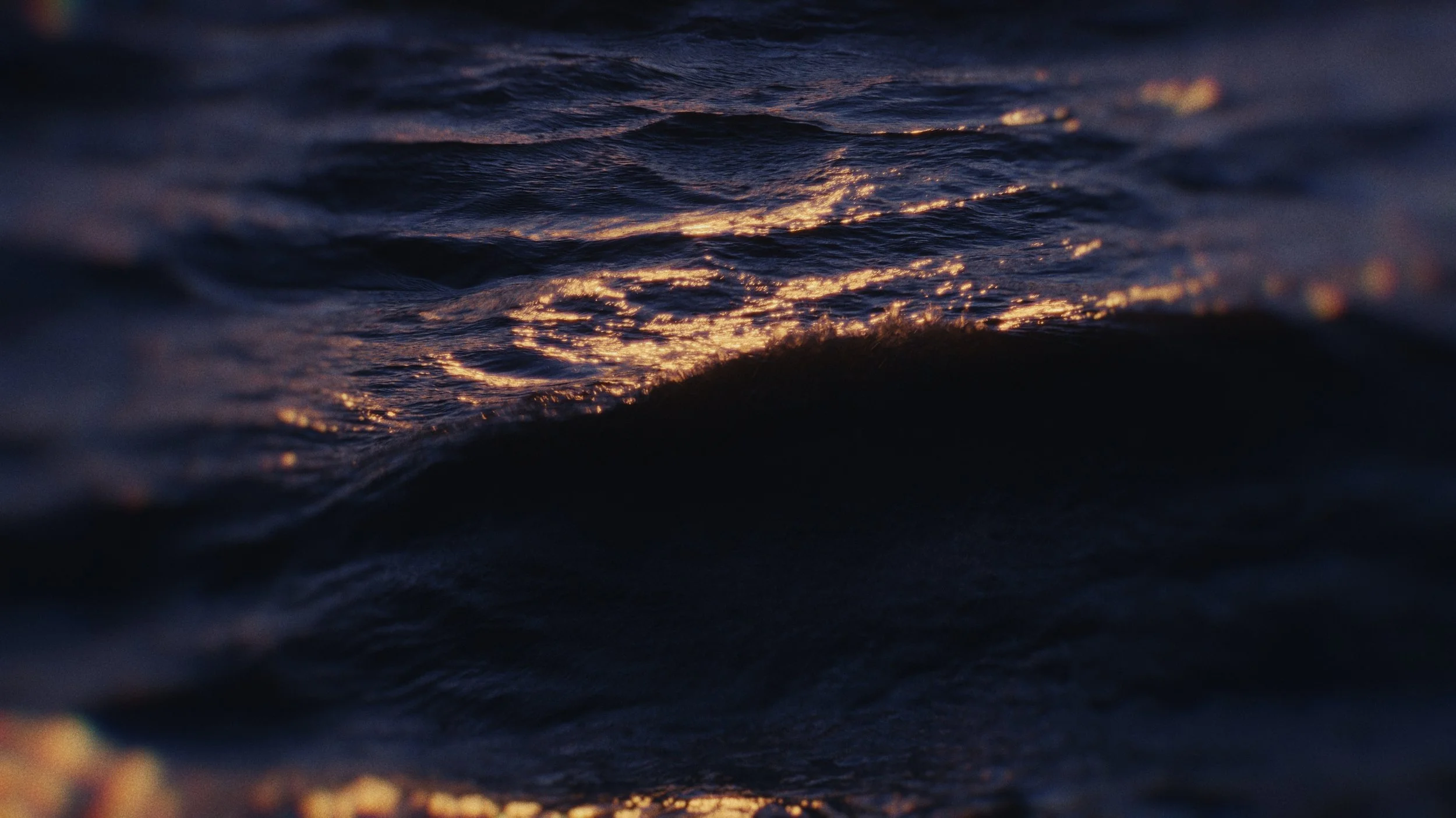 Timeline 1_01_00_03_05.jpg