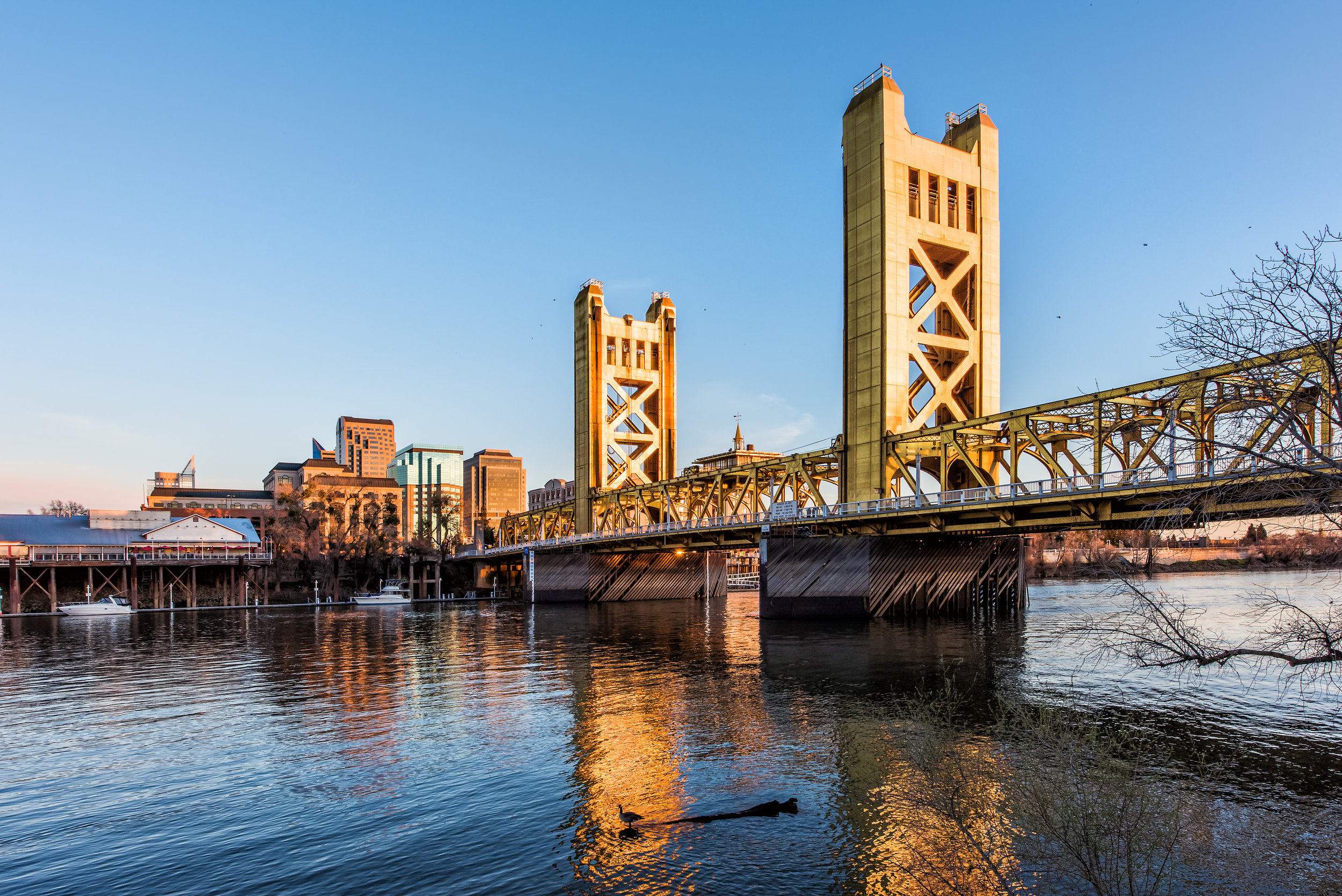 AdobeStock_174602595.jpeg