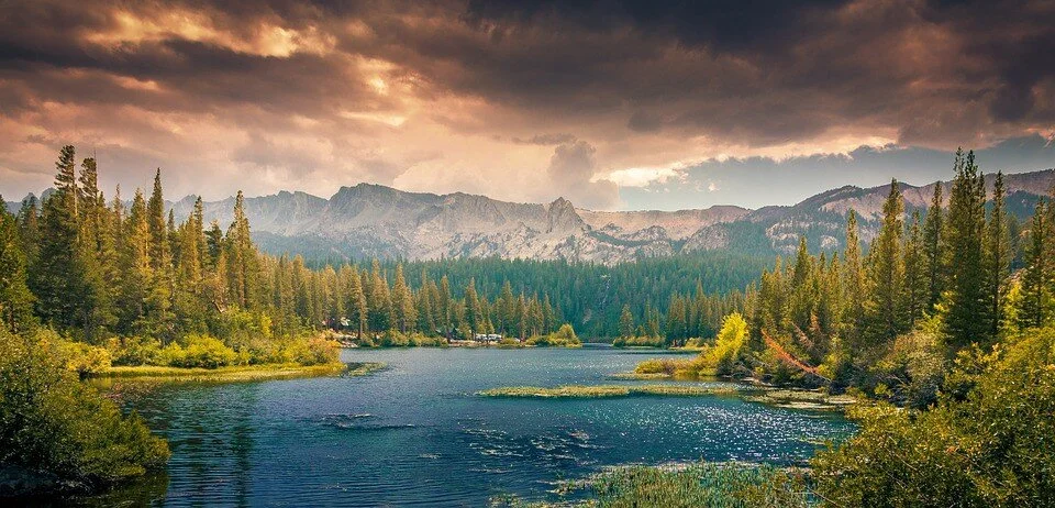 “Legal Rights For Nature: A Revolution Whose Time Has Come” James Carli