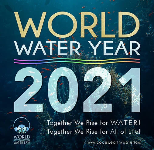 World water year 2021 new face book squa.jpg