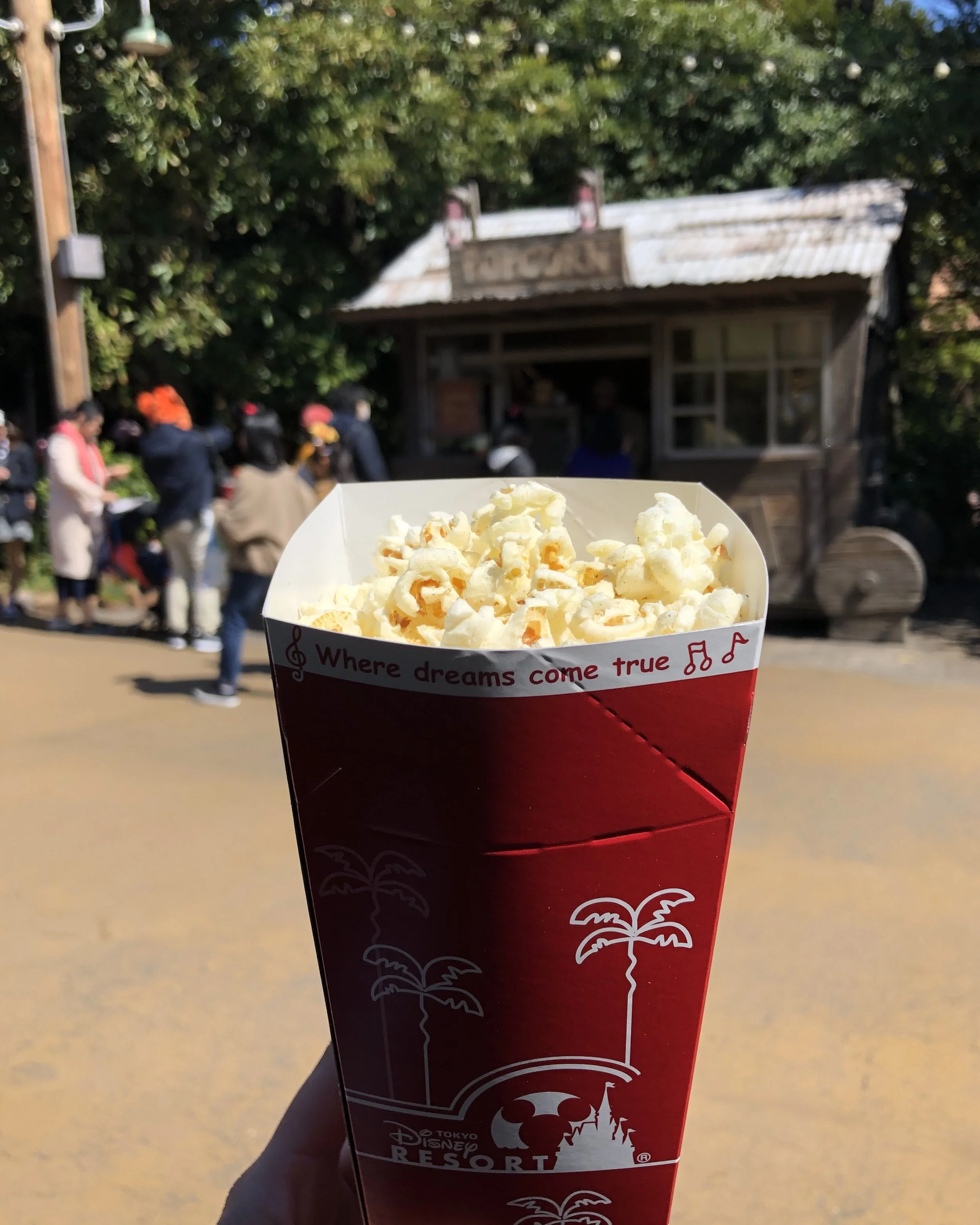 Salt and Pepper Popcorn