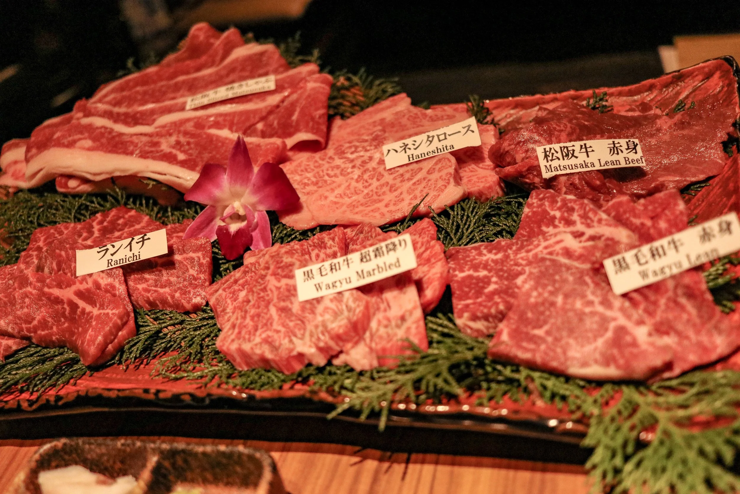 Yakiniku M Dontonbori