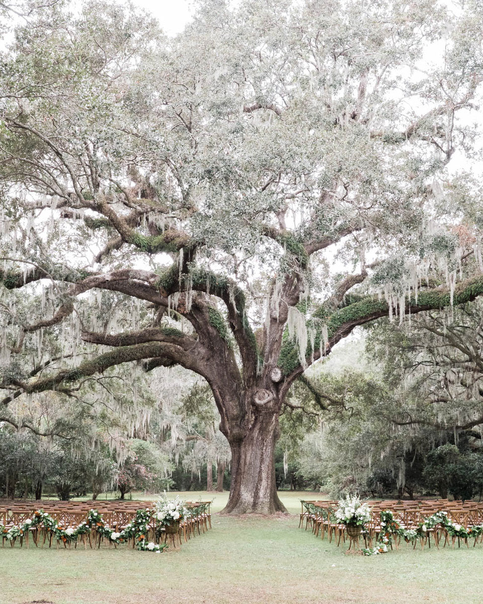 Charleston wedding planner A Charleston Bride