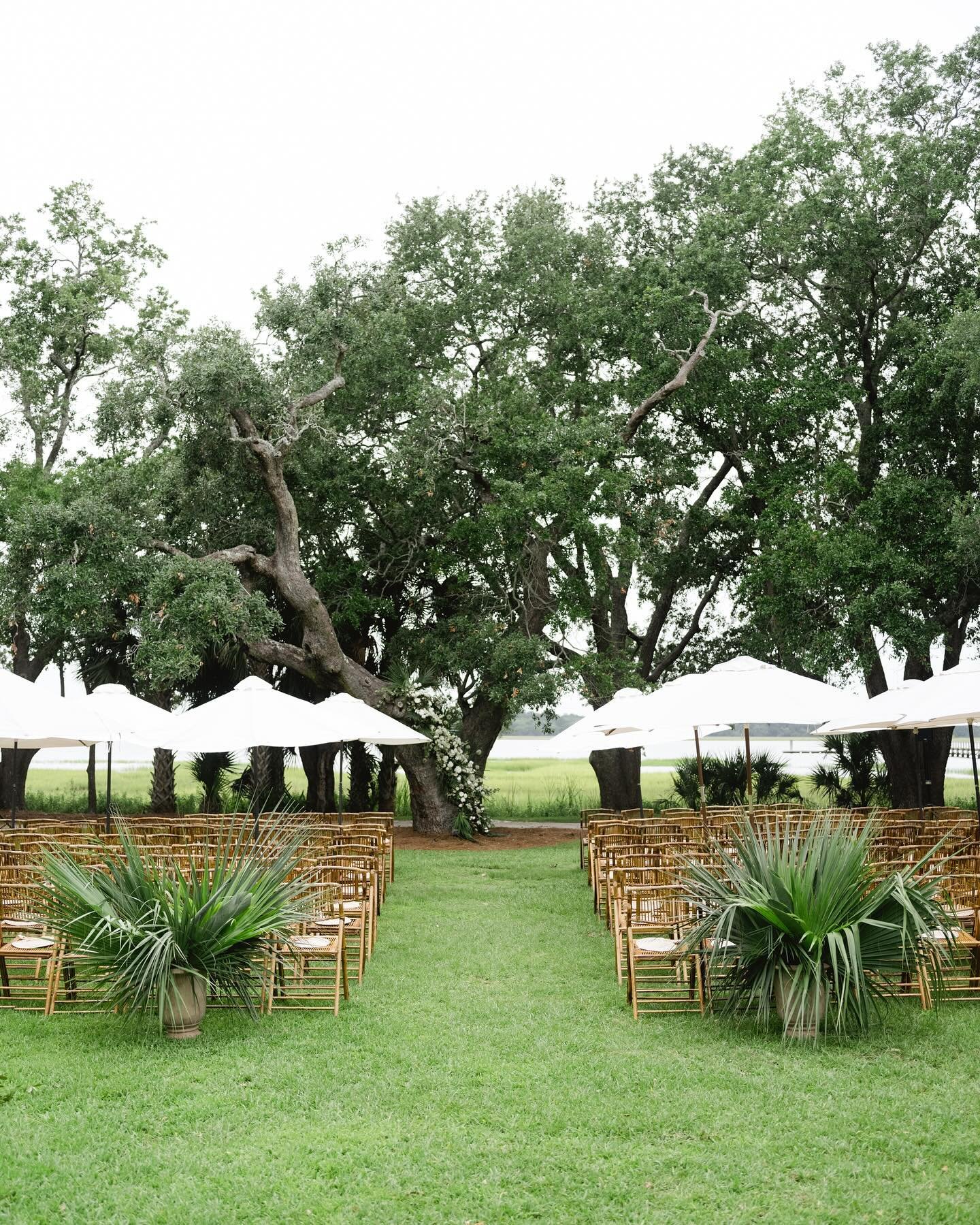 Our take on understated coastal elegance💚🌴
.
.
.
Photo: @virgilbunao 
Floral: @sygdesigns 
Venue: @pphgevents 
Rentals: @snyderevents @curatedeventscharleston @stradleydavidson 
Lighting: @technicalevent 
Draping: @lolumaevents 

#charlestonwedding