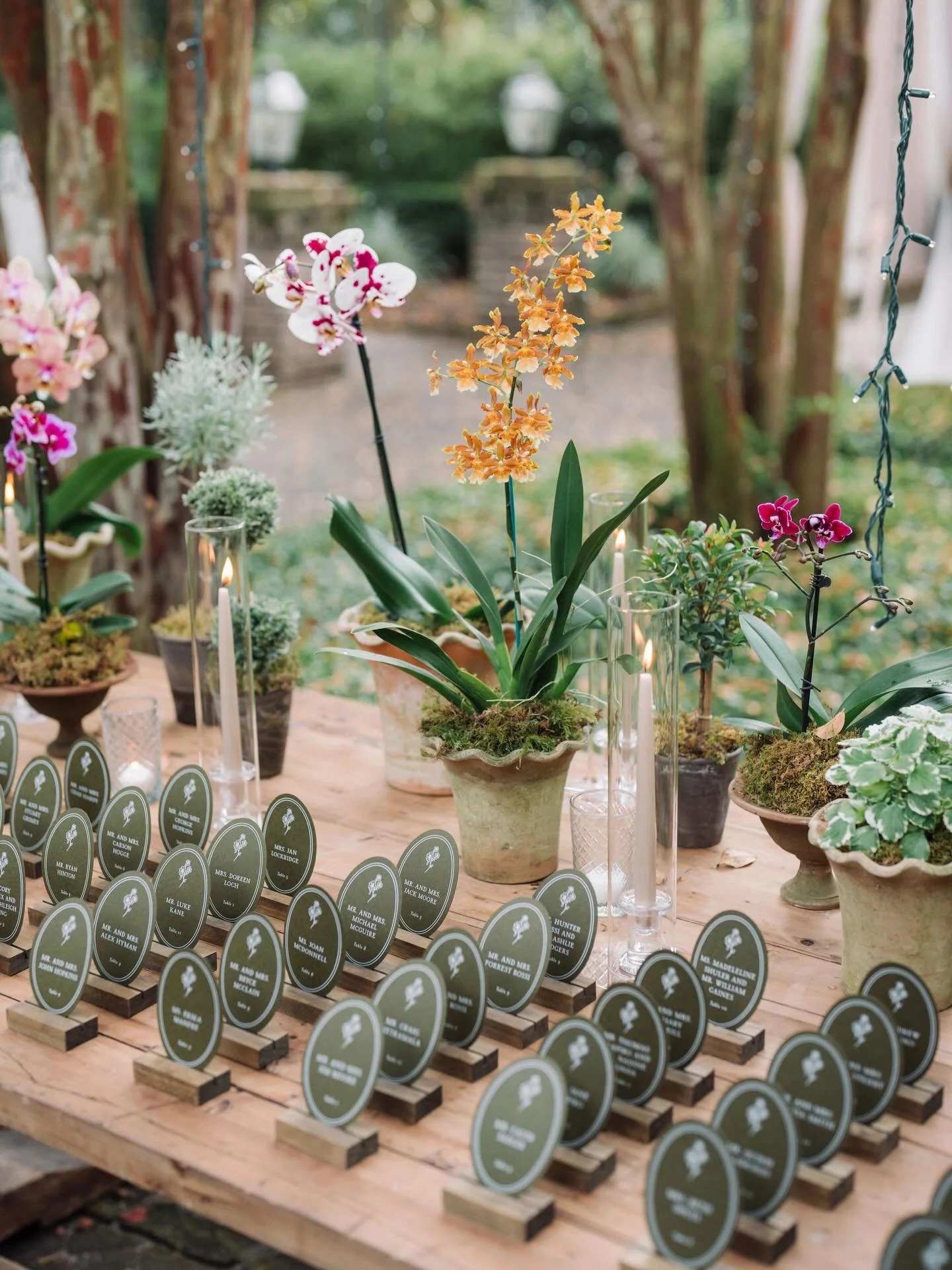 A chic, botanical escort display - a perfect addition to a garden wedding 🪴 
.
.
.
Photo: @aaronandjillian 
Floral: @gibbsfloralstudio 
Venue: @govthomasbennetthouse 
Rentals: @snyderevents
Stationery: @studiordesign
