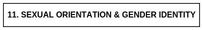 11. SEXUAL ORIENTATION & GENDER IDENTITY.png