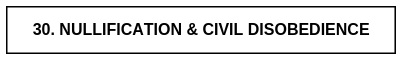 30. NULLIFICATION & CIVIL DISOBEDIENCE.png