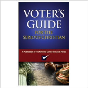 BV Voter Guide.png