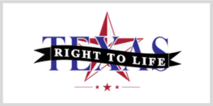 Texas Voter Guides