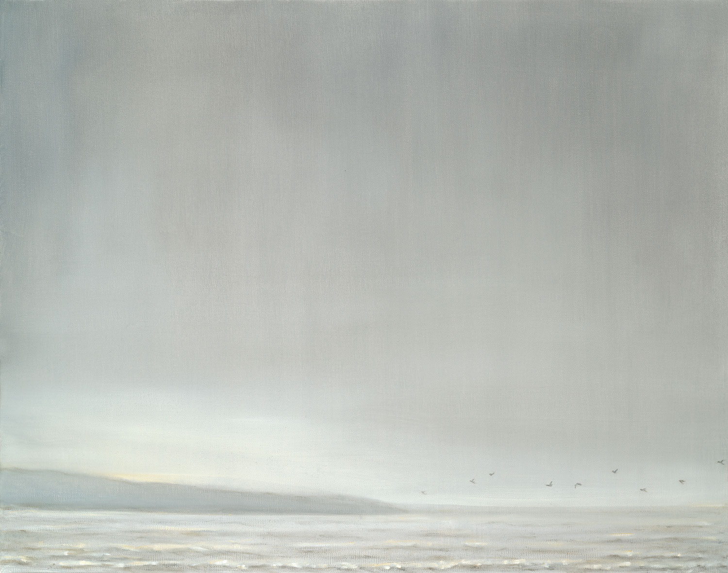 Sea and Birds