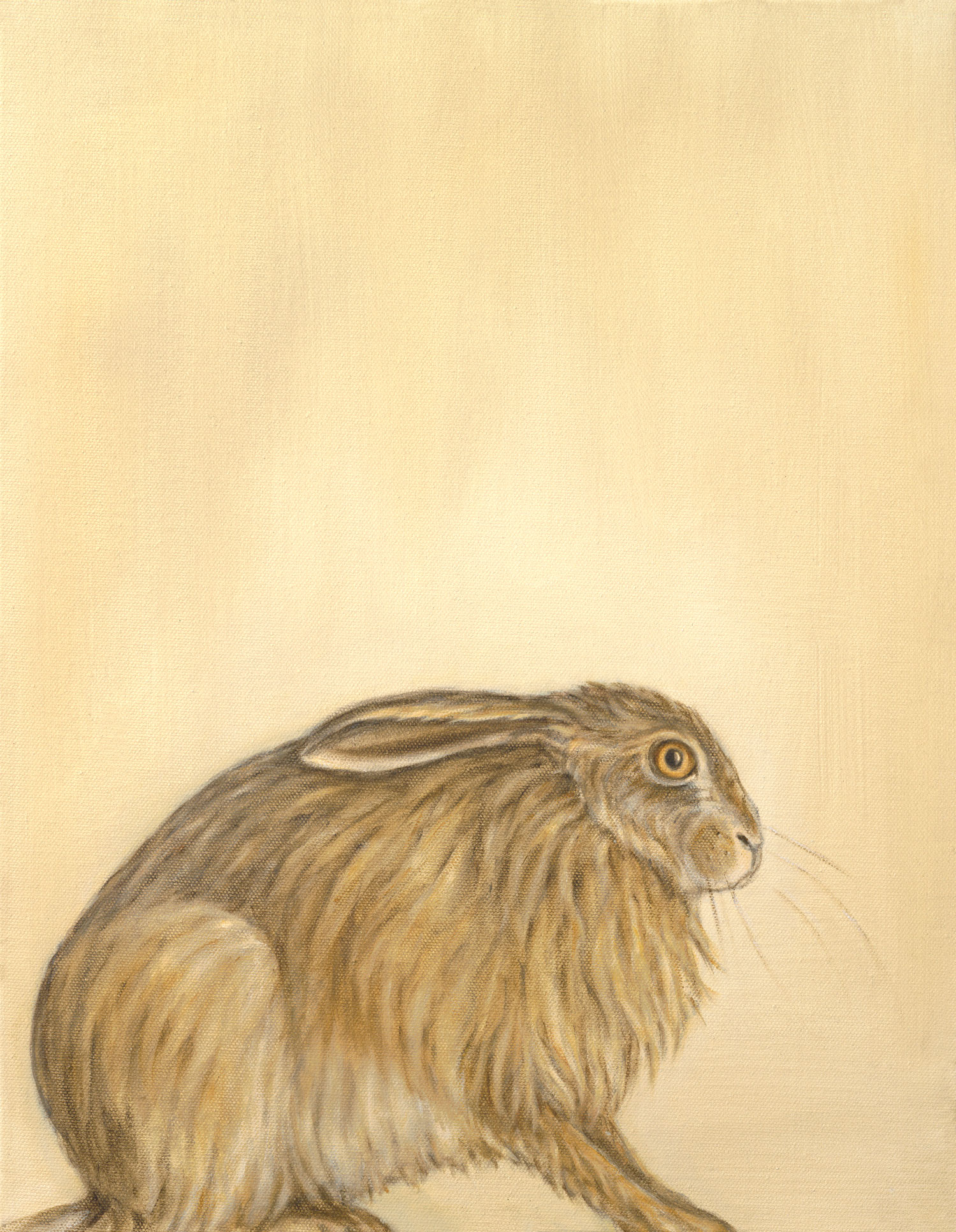 Crouching Hare