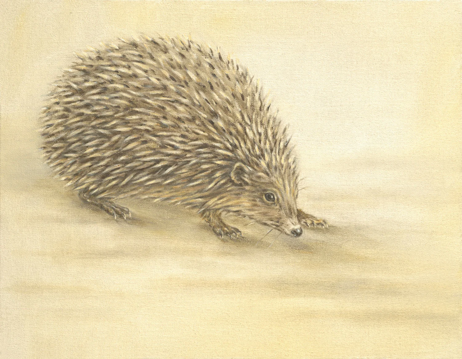 Hedgehog