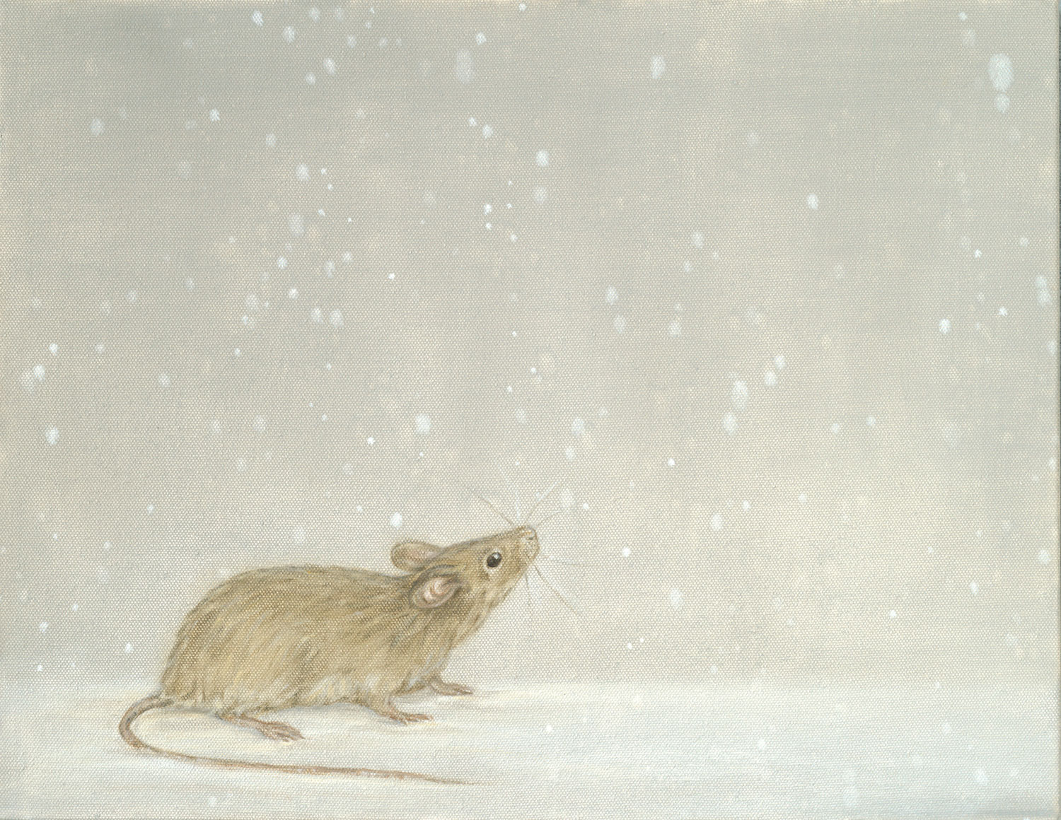 Mouse and Snow
