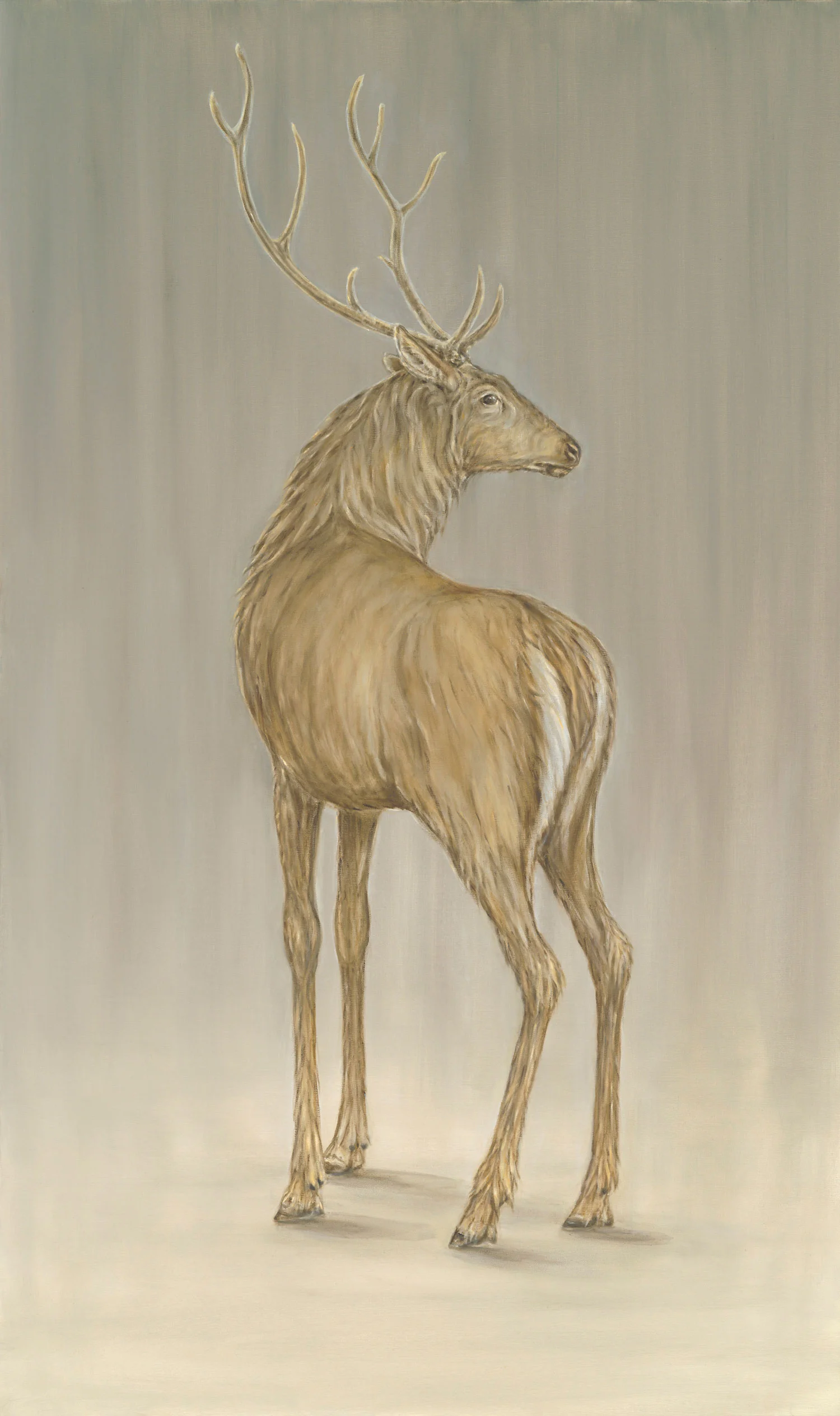 Stag