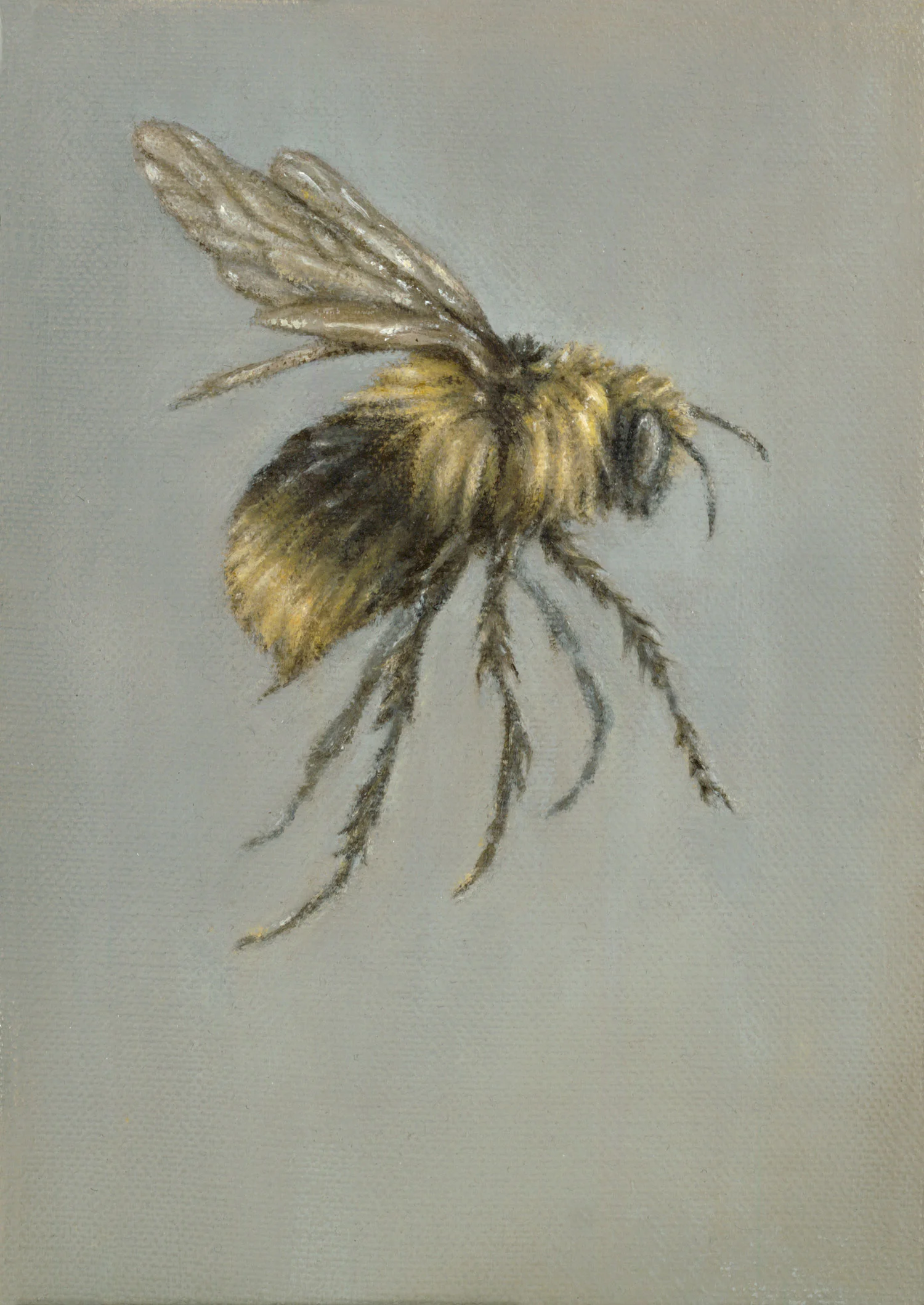 Bee