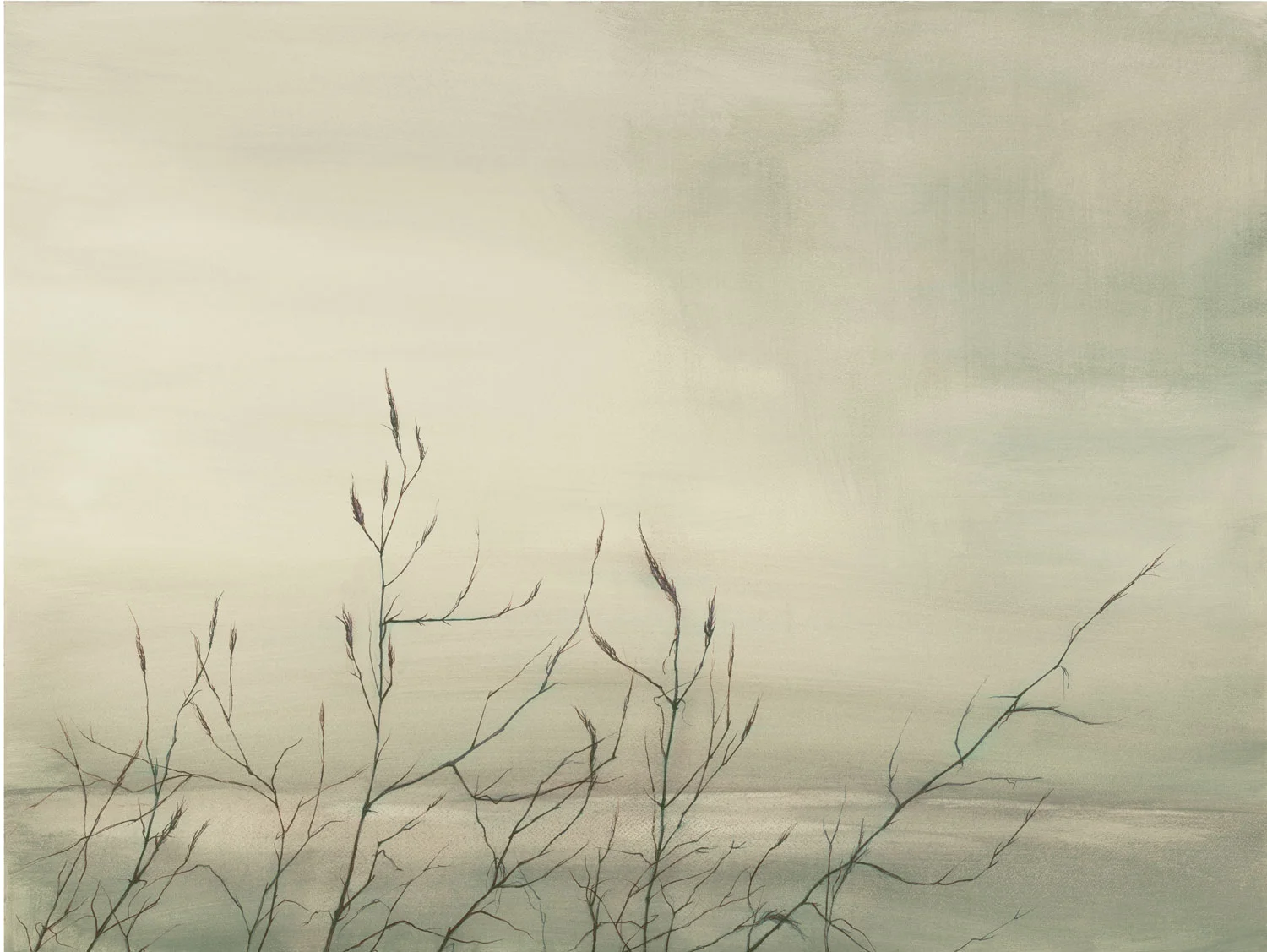 Satmarsh Grasses