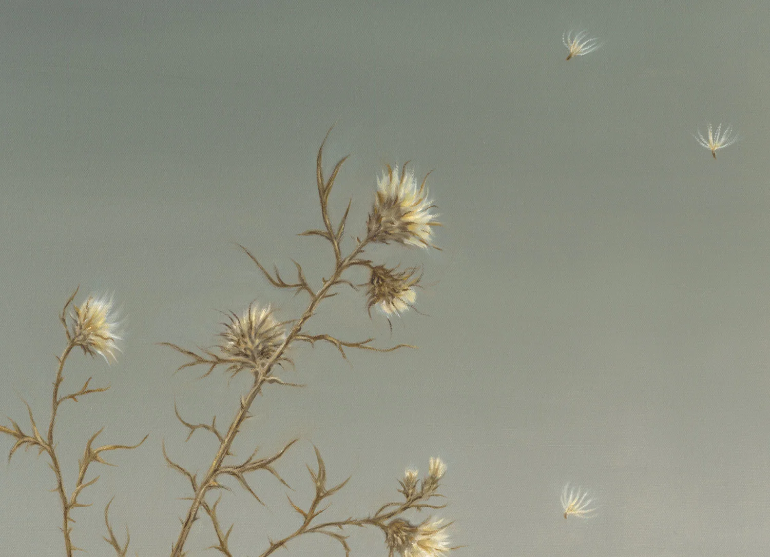 Thistle