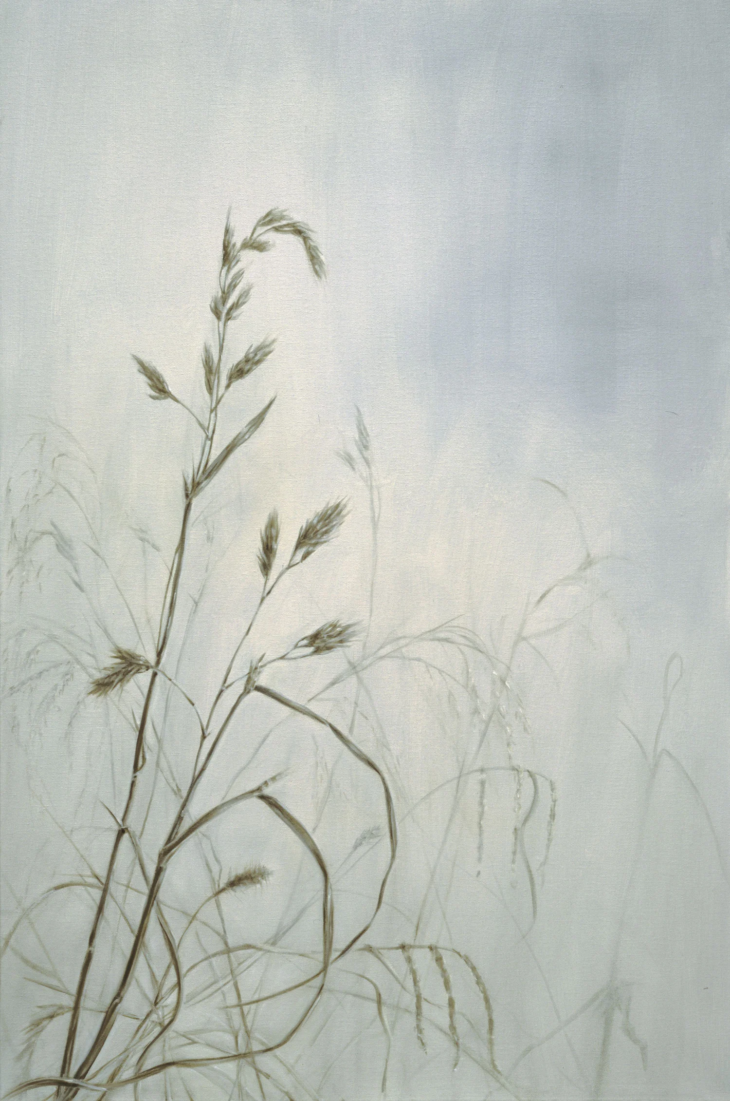 Wayside Grasses