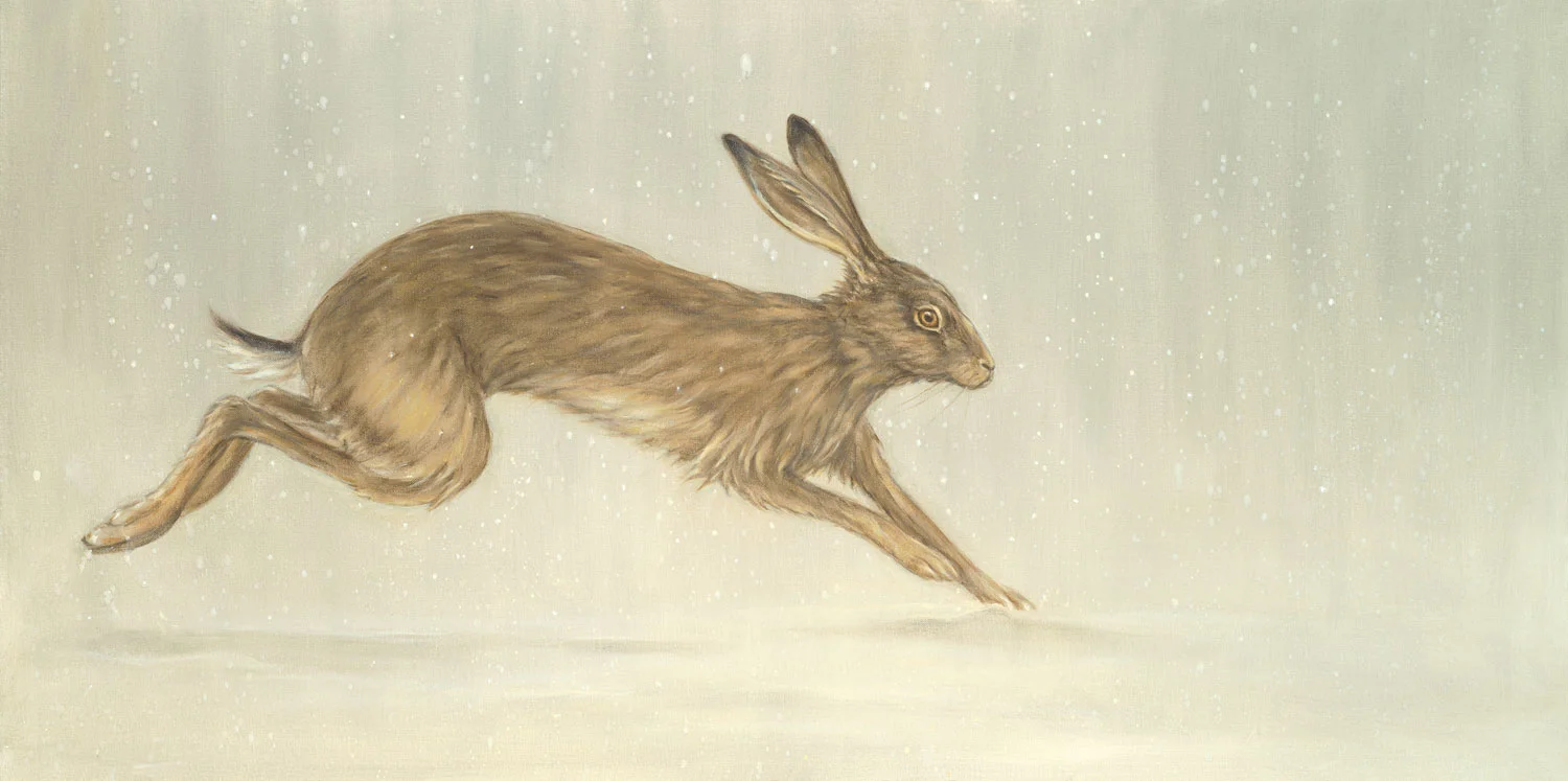 running-hare.jpg