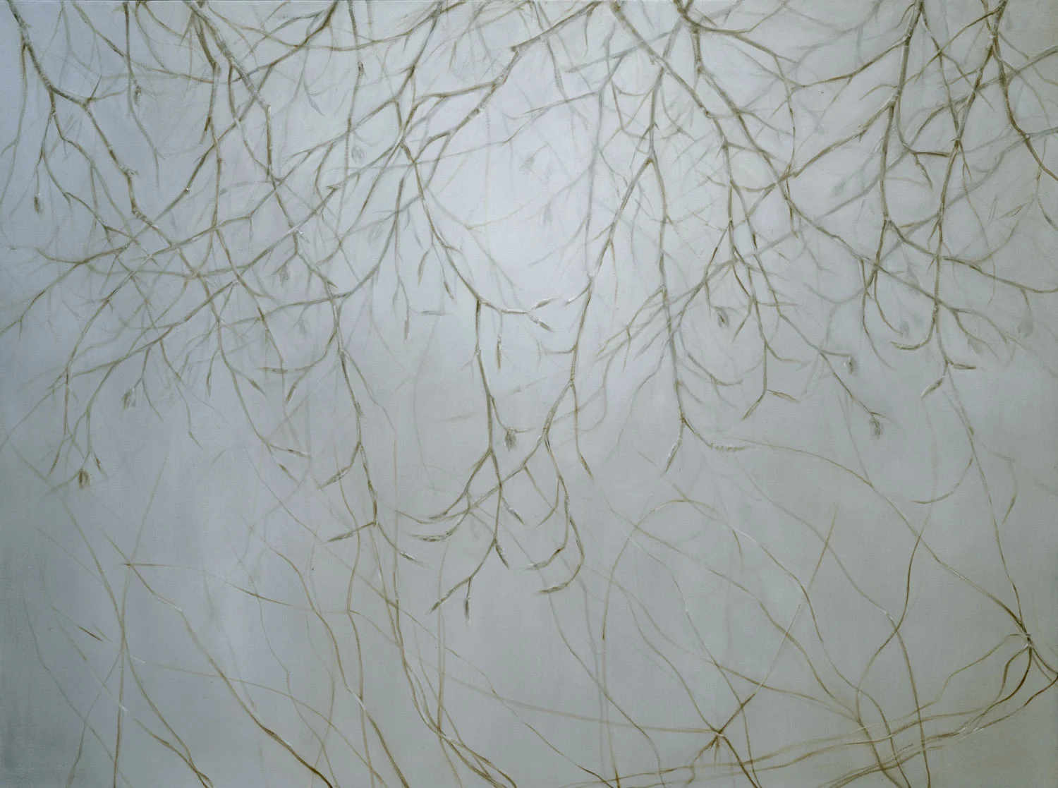 Branches Meeting