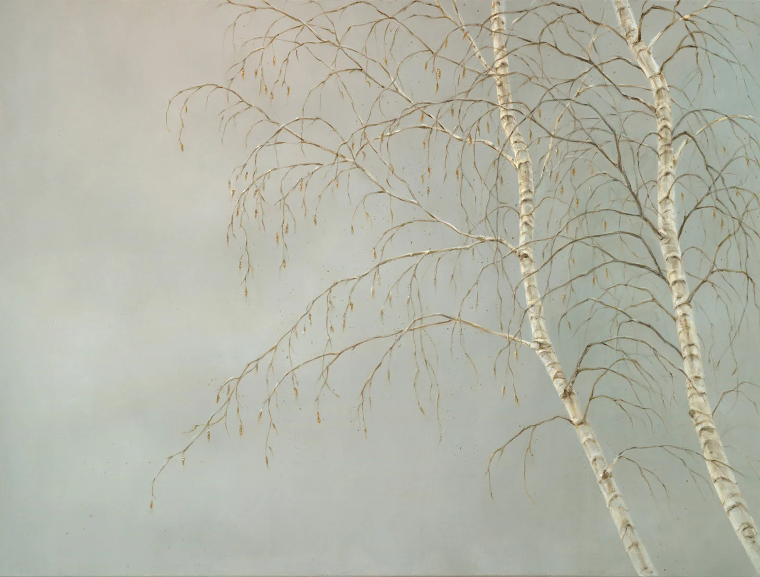 Silver Birches