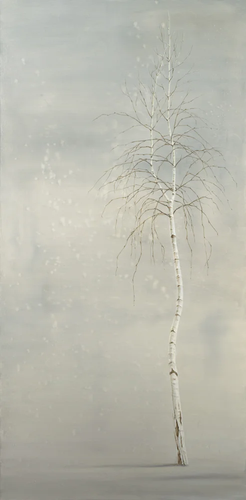 Single Birch