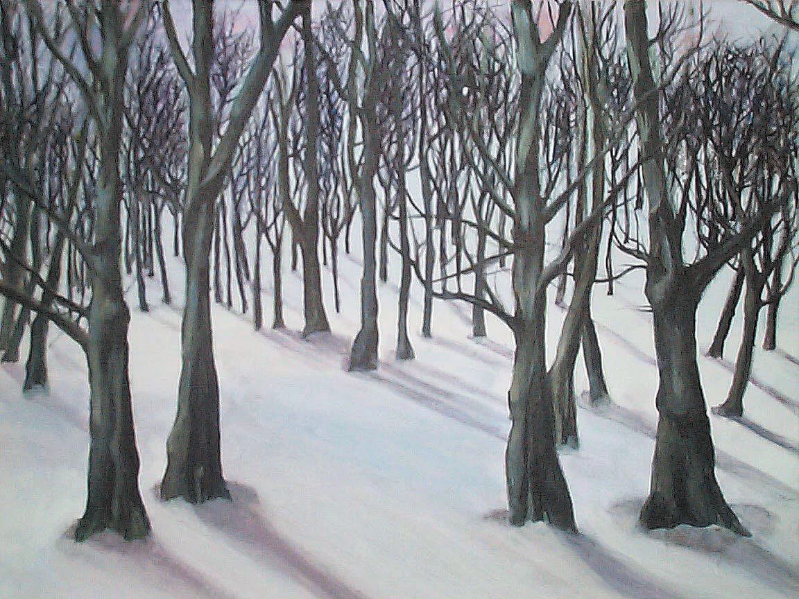 Winter Trees